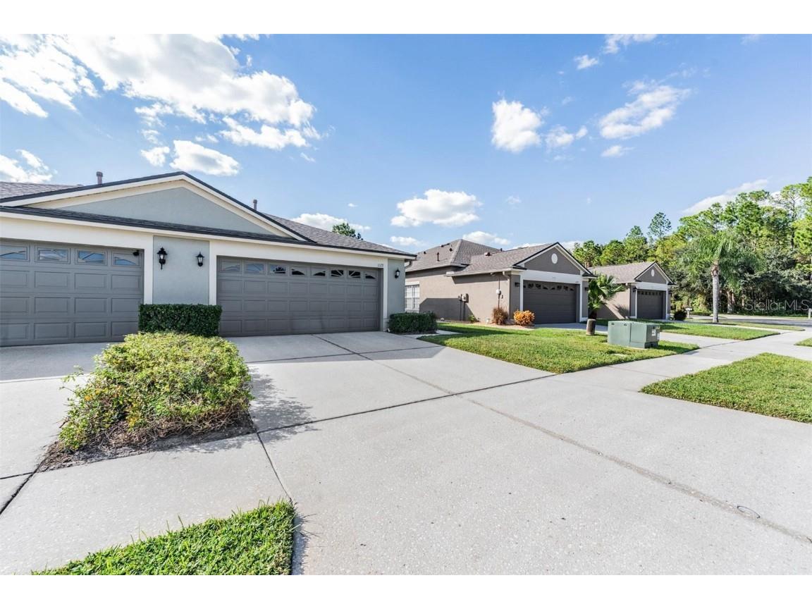 1123 Wright Swynde Court Wesley Chapel FL 33543 TB8441574 image3