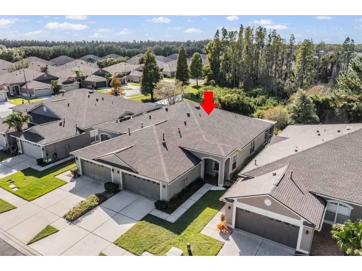 1123 Wright Swynde Court Wesley Chapel FL 33543 TB8441574 image31