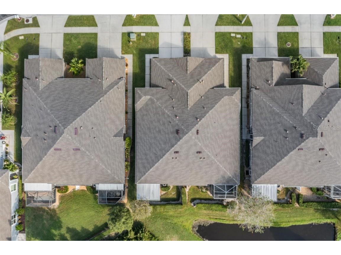 1123 Wright Swynde Court Wesley Chapel FL 33543 TB8441574 image32