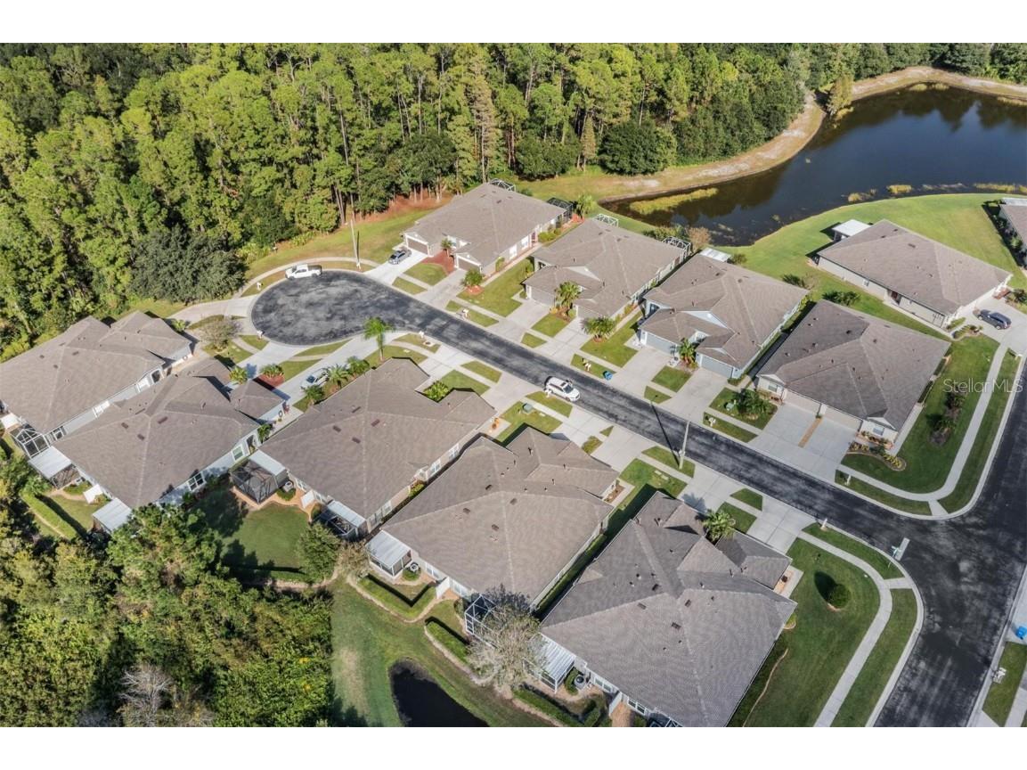 1123 Wright Swynde Court Wesley Chapel FL 33543 TB8441574 image33