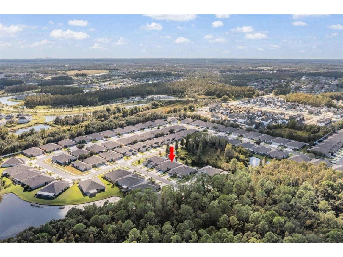 1123 Wright Swynde Court Wesley Chapel FL 33543 TB8441574 image34