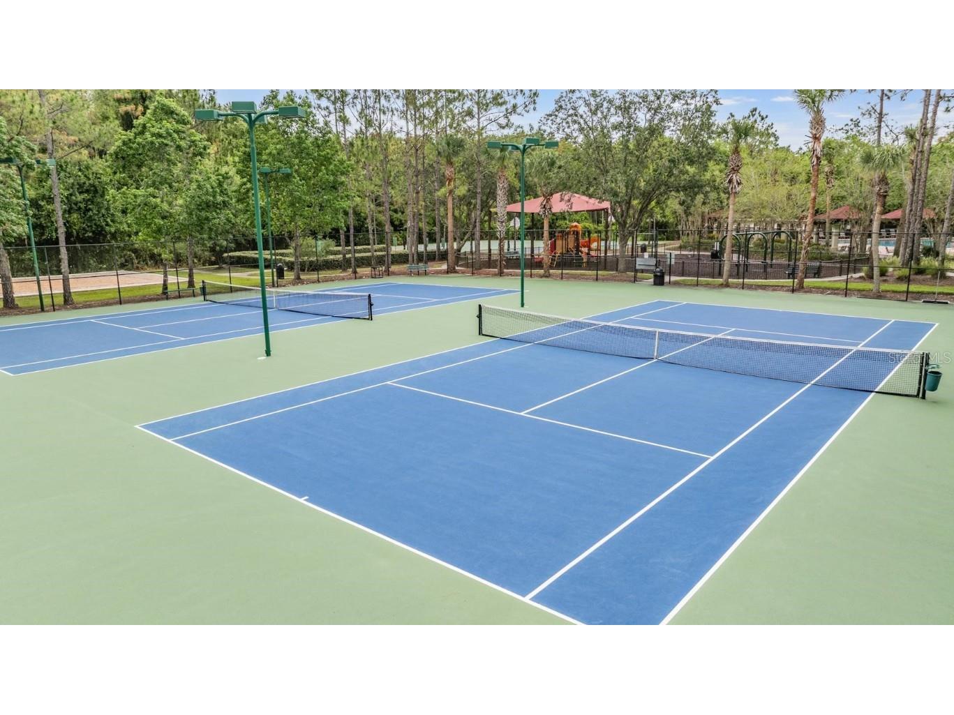 1123 Wright Swynde Court Wesley Chapel FL 33543 TB8441574 image39