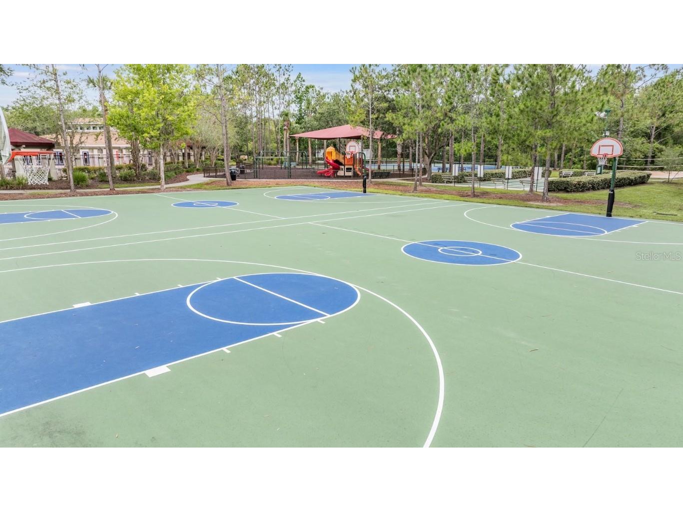 1123 Wright Swynde Court Wesley Chapel FL 33543 TB8441574 image42