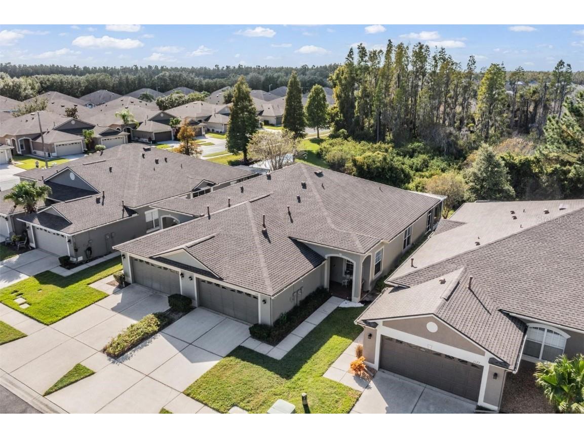 1123 Wright Swynde Court Wesley Chapel FL 33543 TB8441574 image5