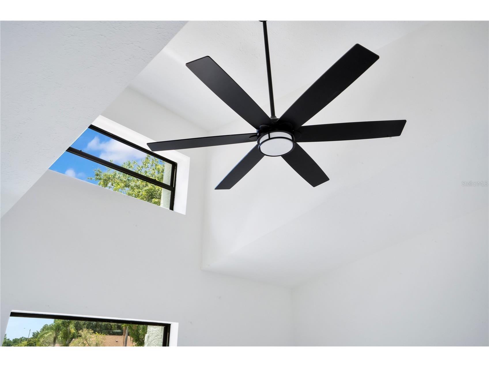 11230 Elmfield Drive Tampa FL 33625 TB8506922 image34