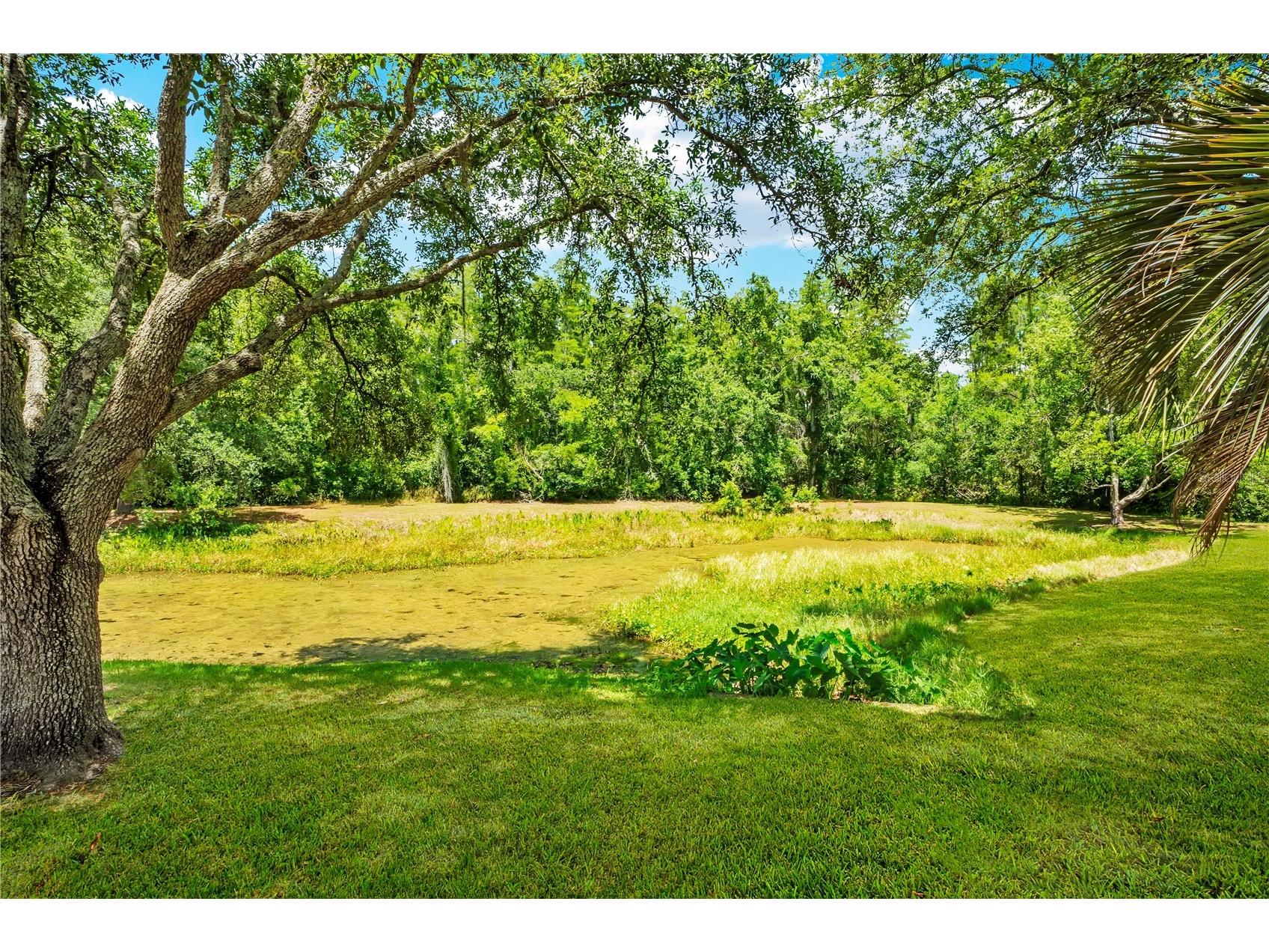 11230 Elmfield Drive Tampa FL 33625 TB8506922 image45