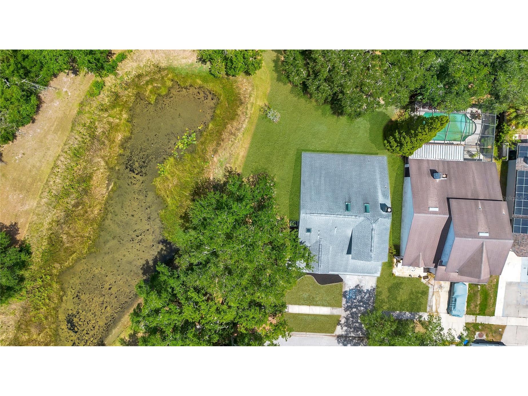 11230 Elmfield Drive Tampa FL 33625 TB8506922 image49