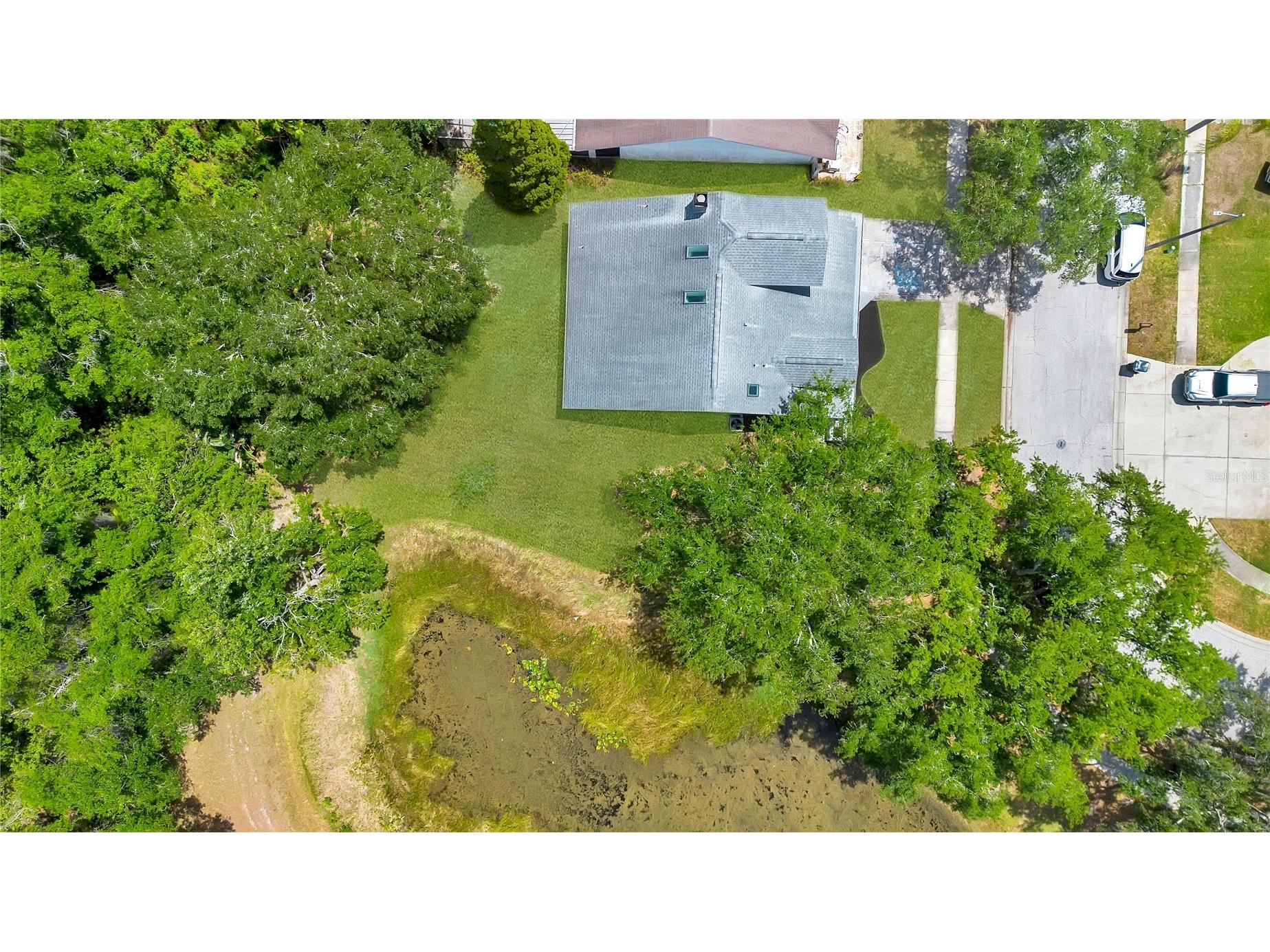 11230 Elmfield Drive Tampa FL 33625 TB8506922 image50
