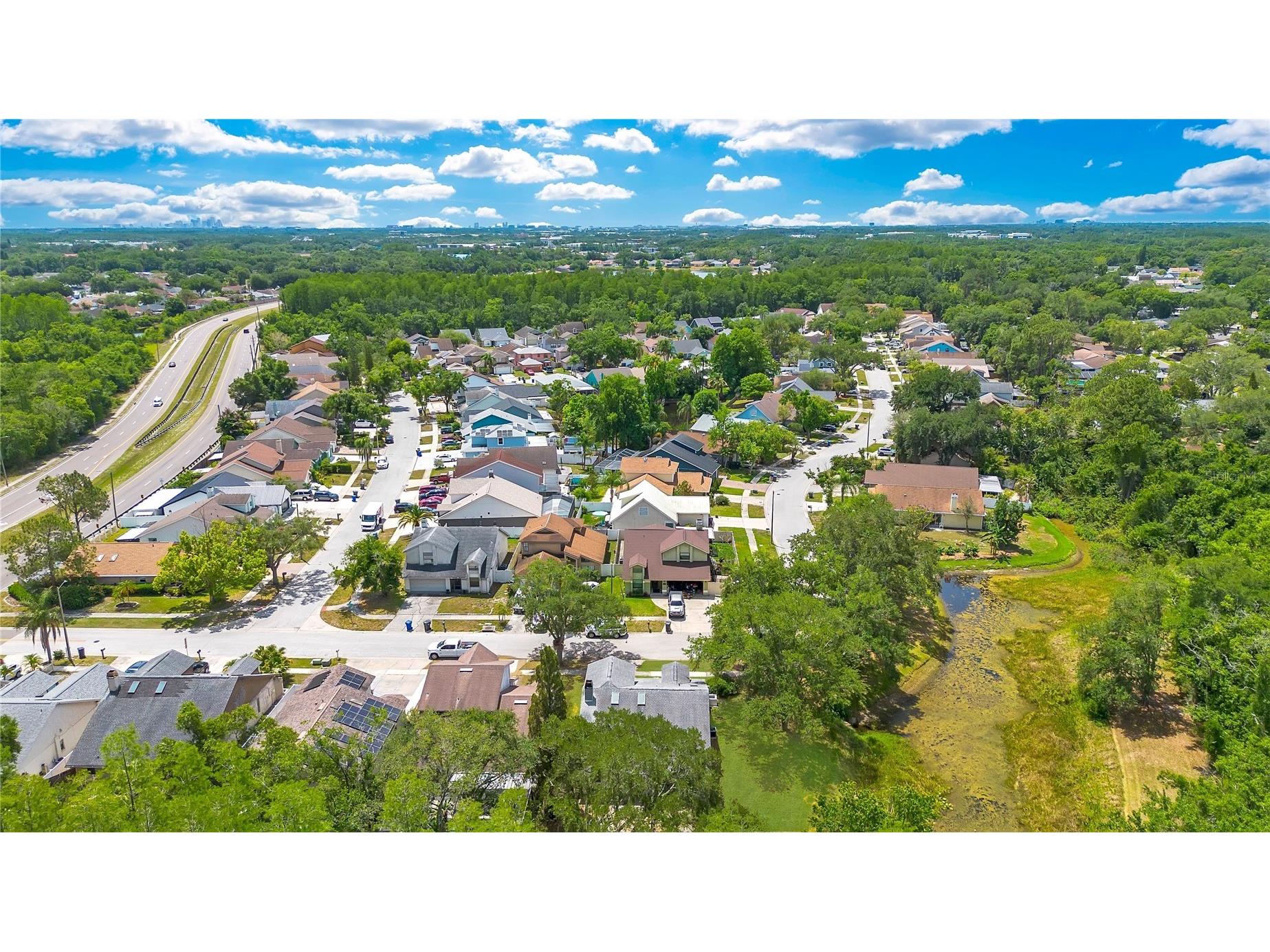 11230 Elmfield Drive Tampa FL 33625 TB8506922 image52