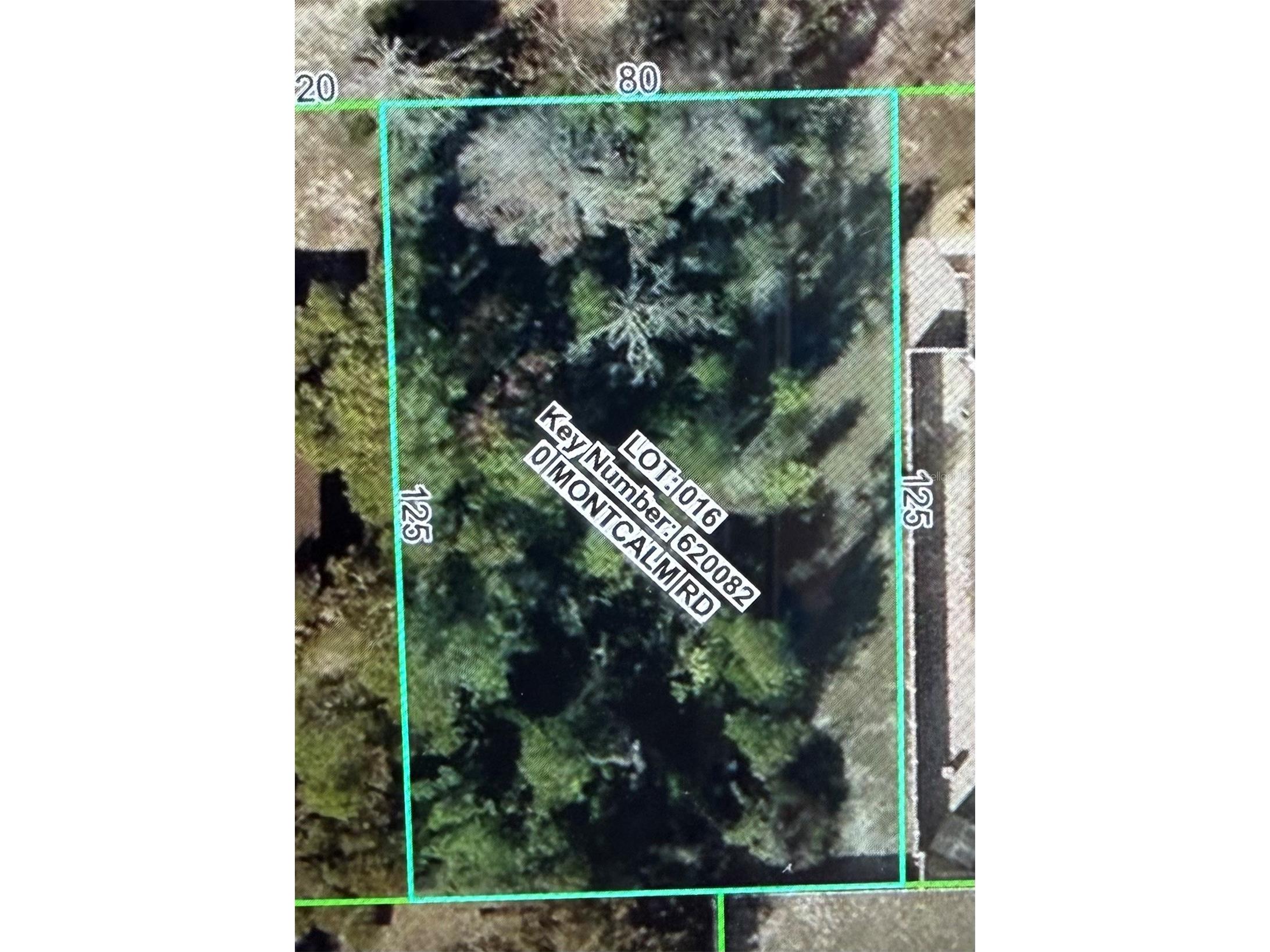 11230 Montcalm Road Spring Hill FL 34608 W7883542 image2