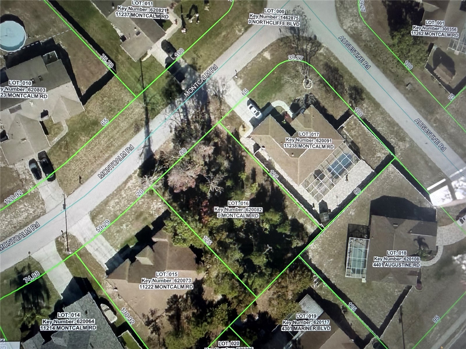 11230 Montcalm Road Spring Hill FL 34608 W7883542 image3