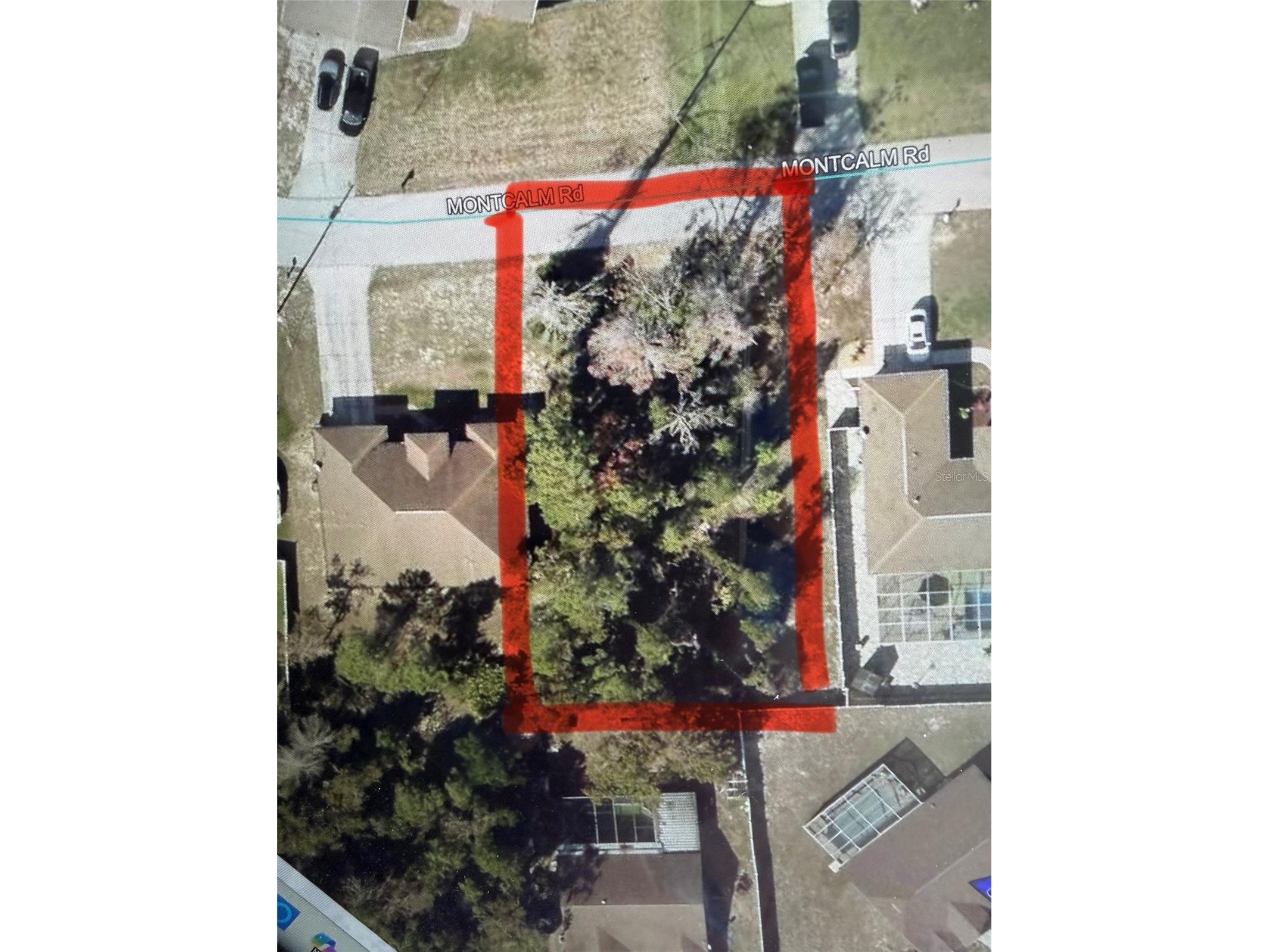 11230 Montcalm Road Spring Hill FL 34608 W7883542 image4