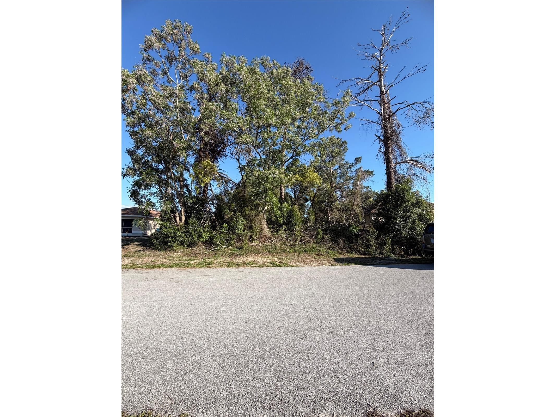 11230 Montcalm Road Spring Hill FL 34608 W7883542 image5