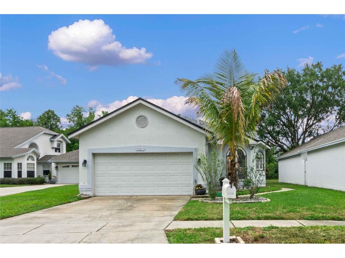 11230 Papyrus Lane Orlando FL 32821 O6102337 image1