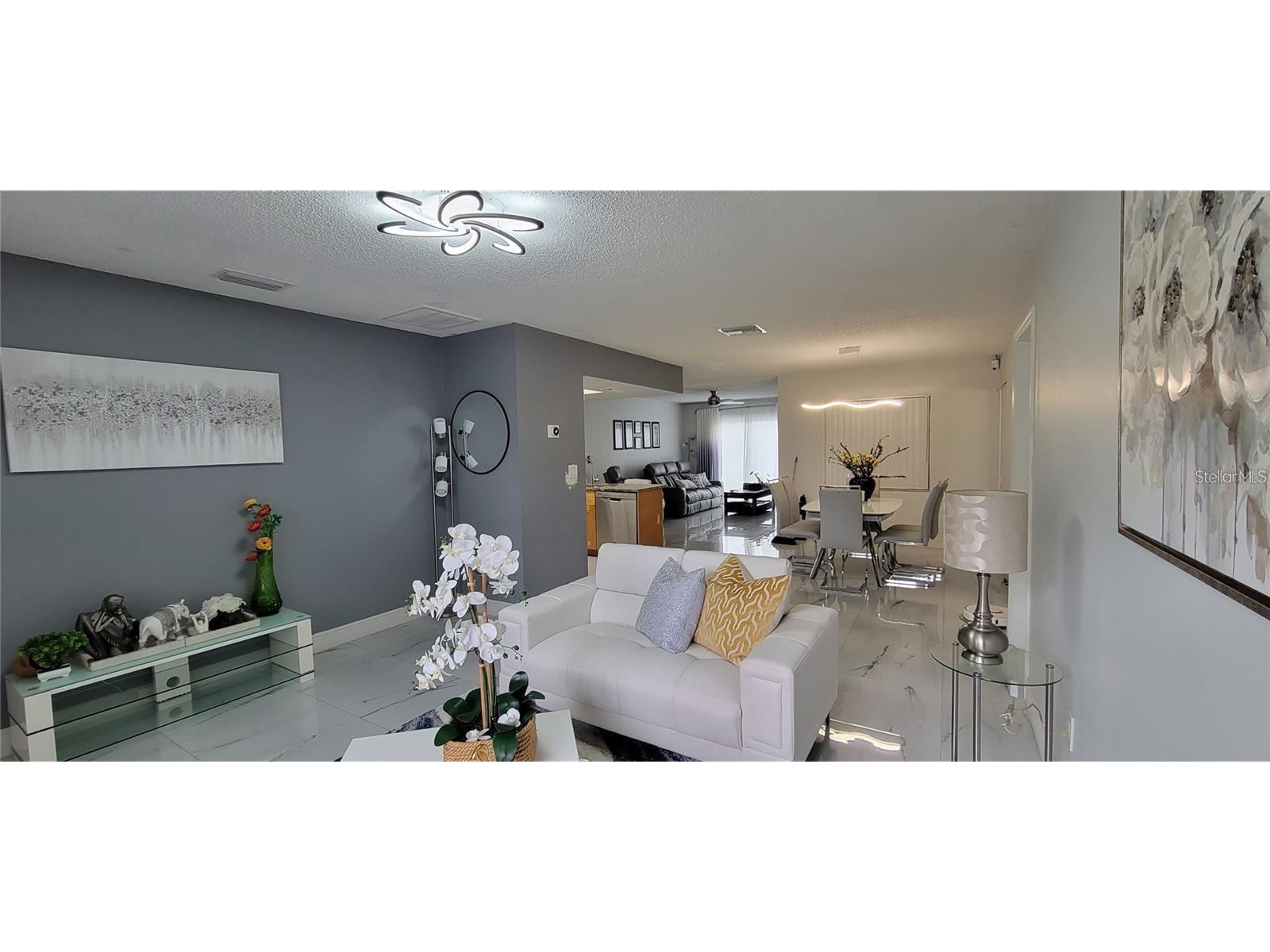 11230 Taft Lane Seffner FL 33584 TB8486234 image4