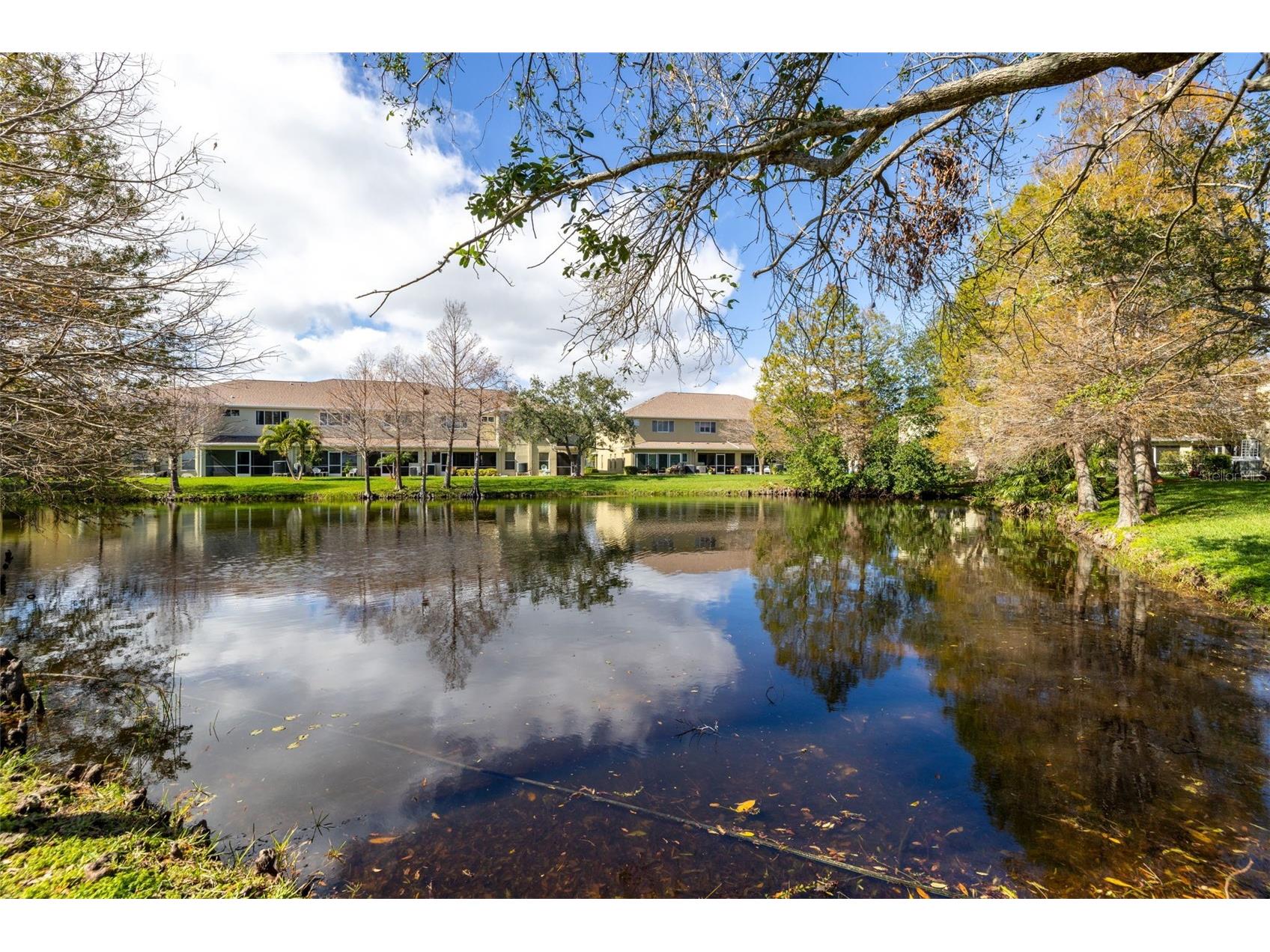 11231 Kapok Grand Circle Saint Petersburg FL 33708 TB8454332 image1