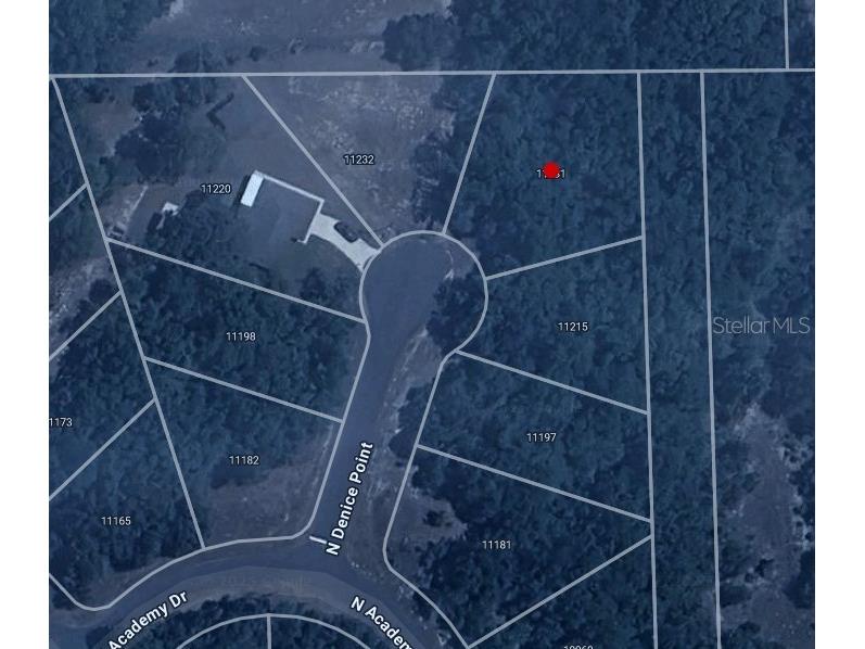 11231 N Denice Point Dunnellon FL 34434 C7515569 image2
