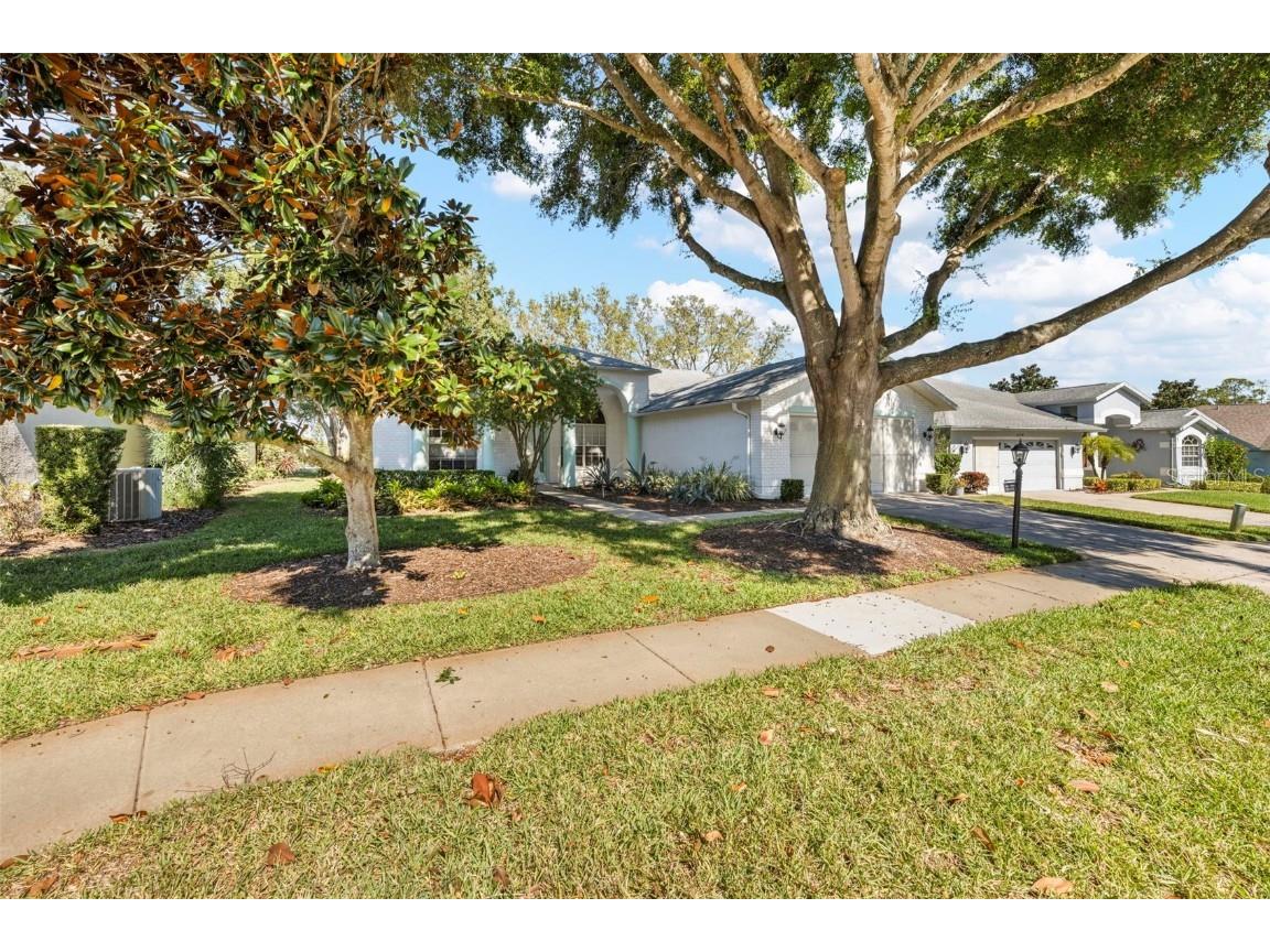 11231 Sun Tree Road Hudson FL 34667 TB8448088 image30