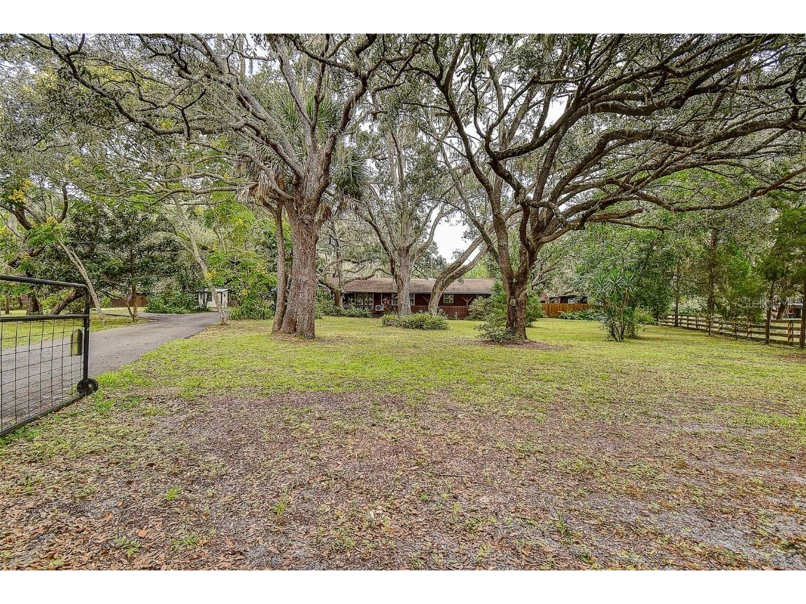 11231 Tenoaks Drive Hudson FL 34669 TB8435729 image1