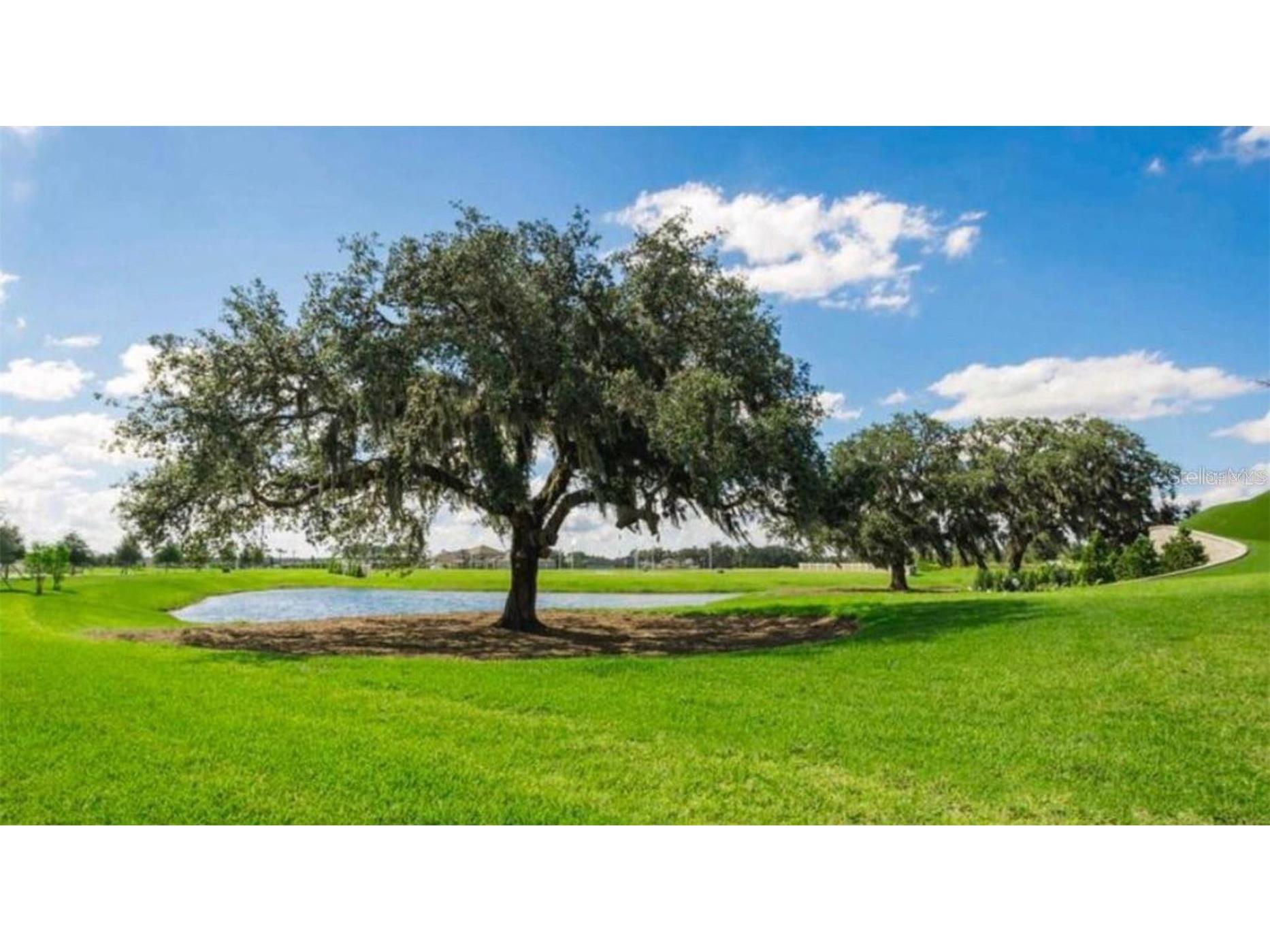 11232 Cay Spruce Way San Antonio FL 33576 O6420070 image16