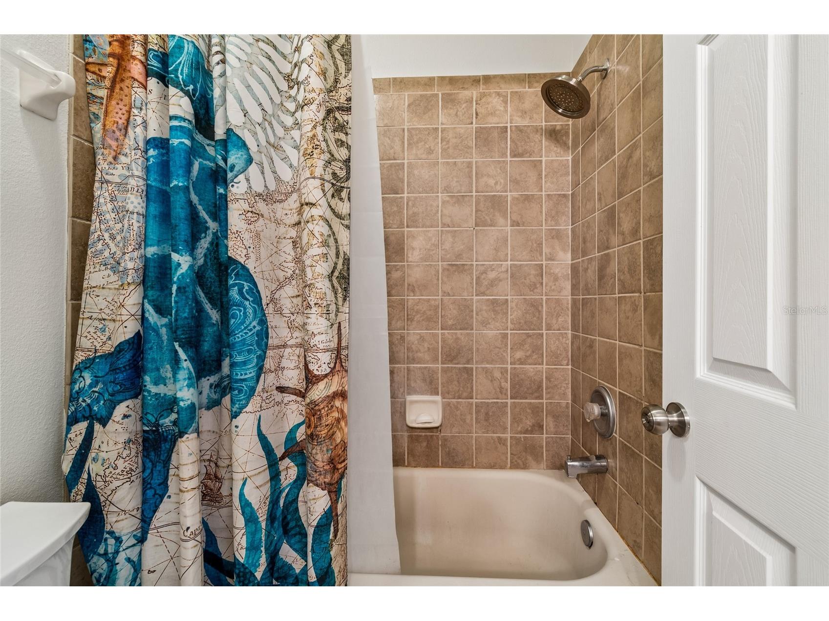 11232 Creek Haven Drive Riverview FL 33569 TB8532408 image27