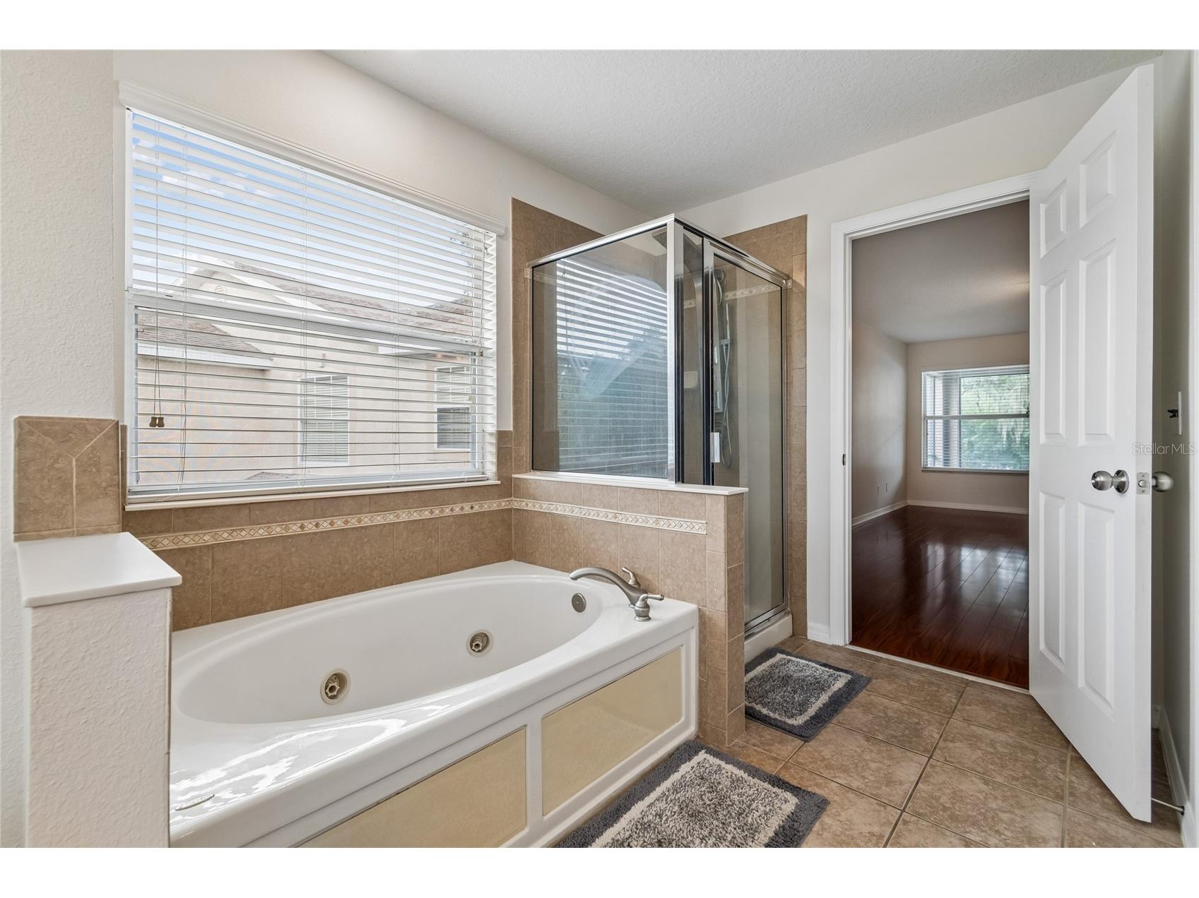 11232 Creek Haven Drive Riverview FL 33569 TB8532408 image33
