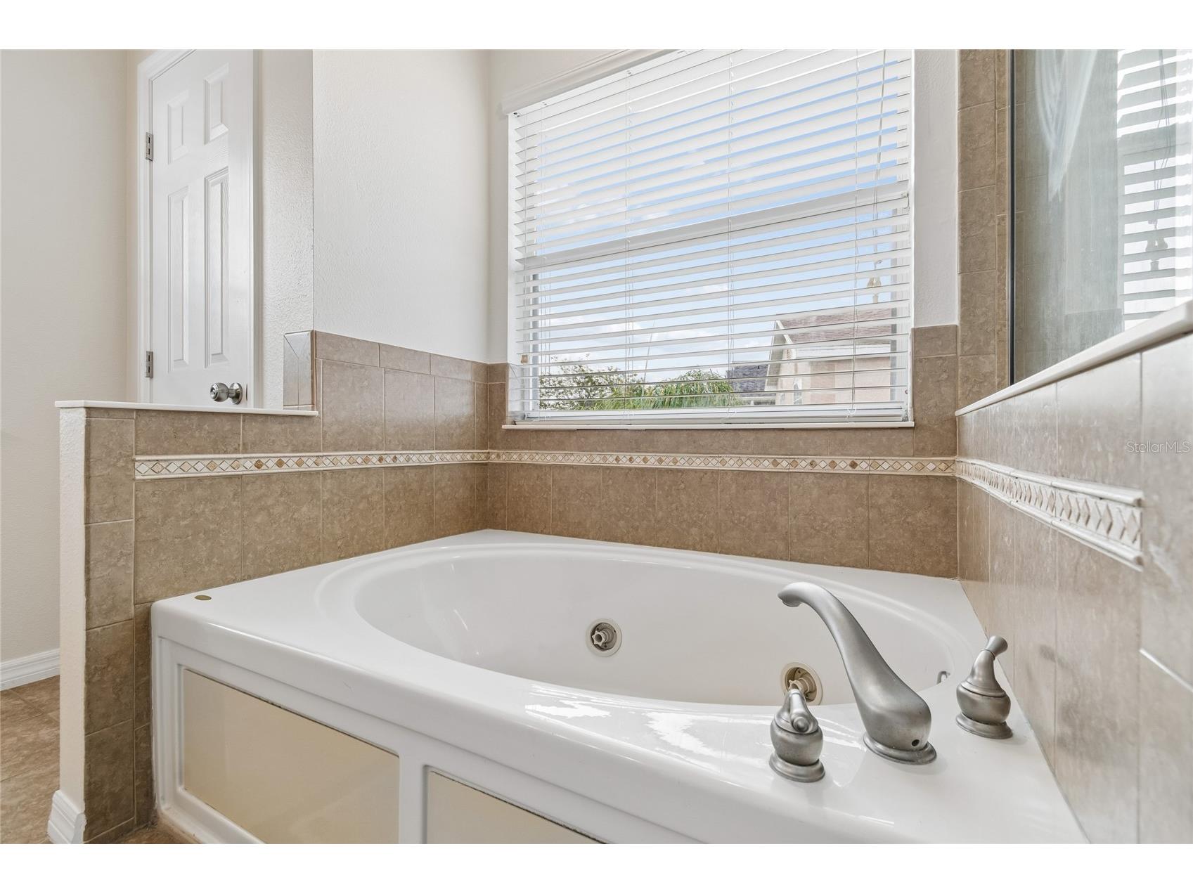 11232 Creek Haven Drive Riverview FL 33569 TB8532408 image34