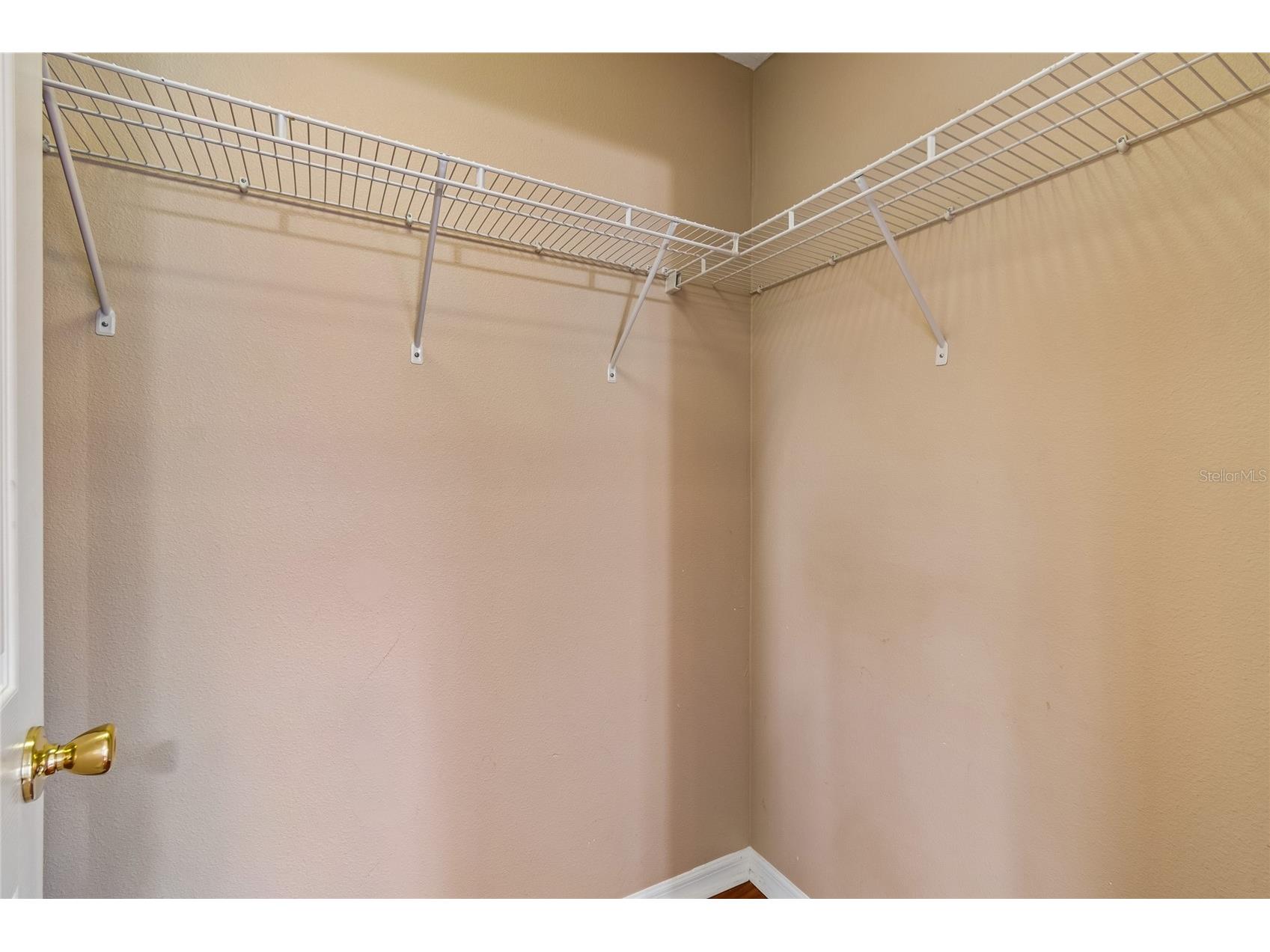 11232 Creek Haven Drive Riverview FL 33569 TB8532408 image49