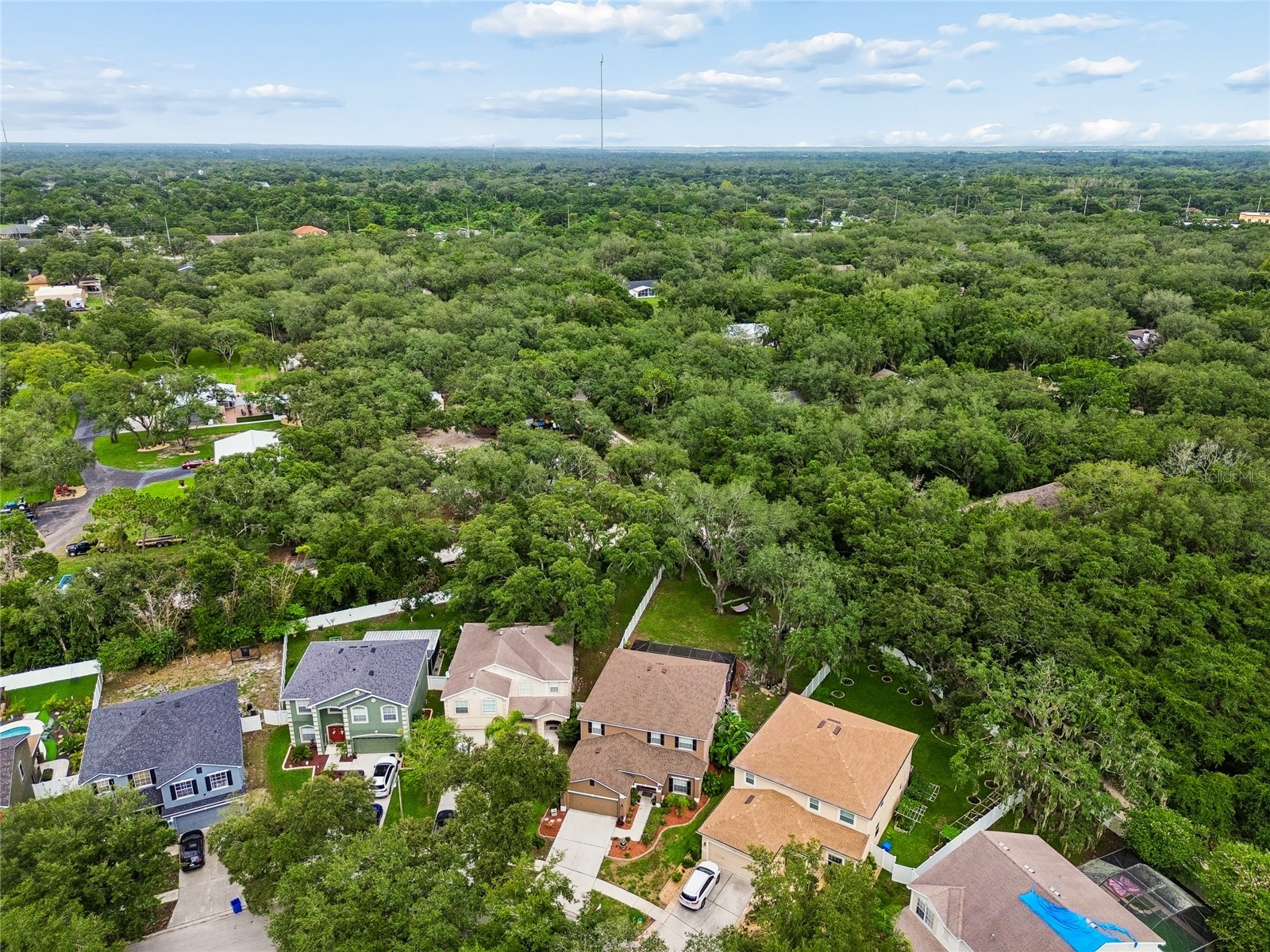 11232 Creek Haven Drive Riverview FL 33569 TB8532408 image78