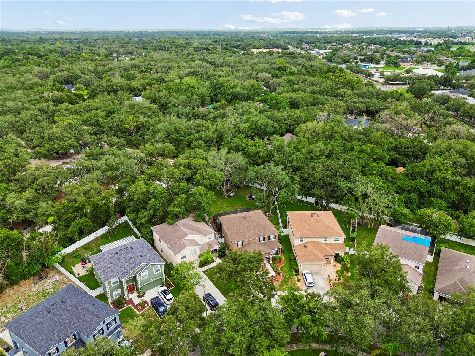 11232 Creek Haven Drive Riverview FL 33569 TB8532408 image80