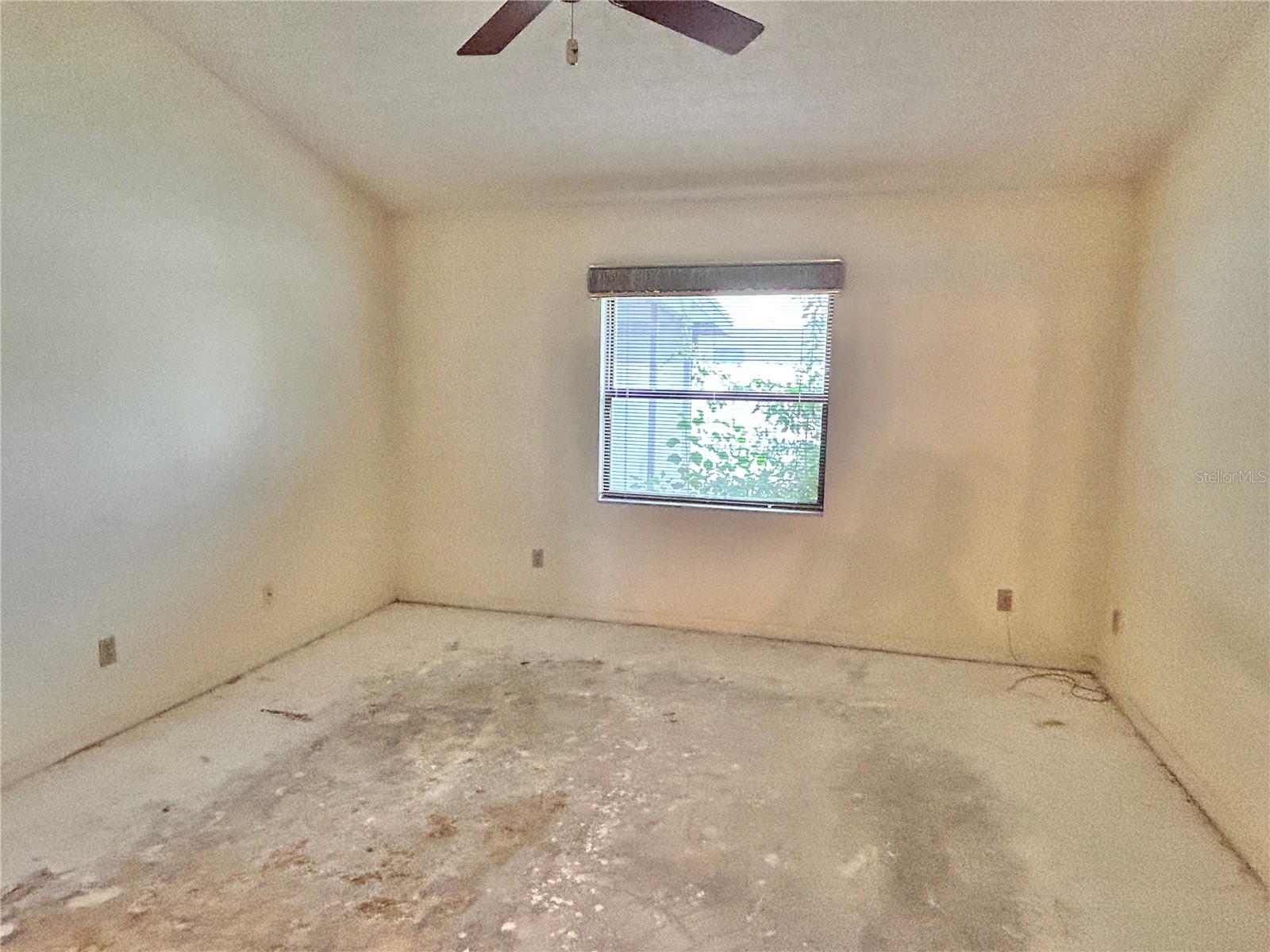 11233 Elmfield Drive Tampa FL 33625 TB8526143 image11