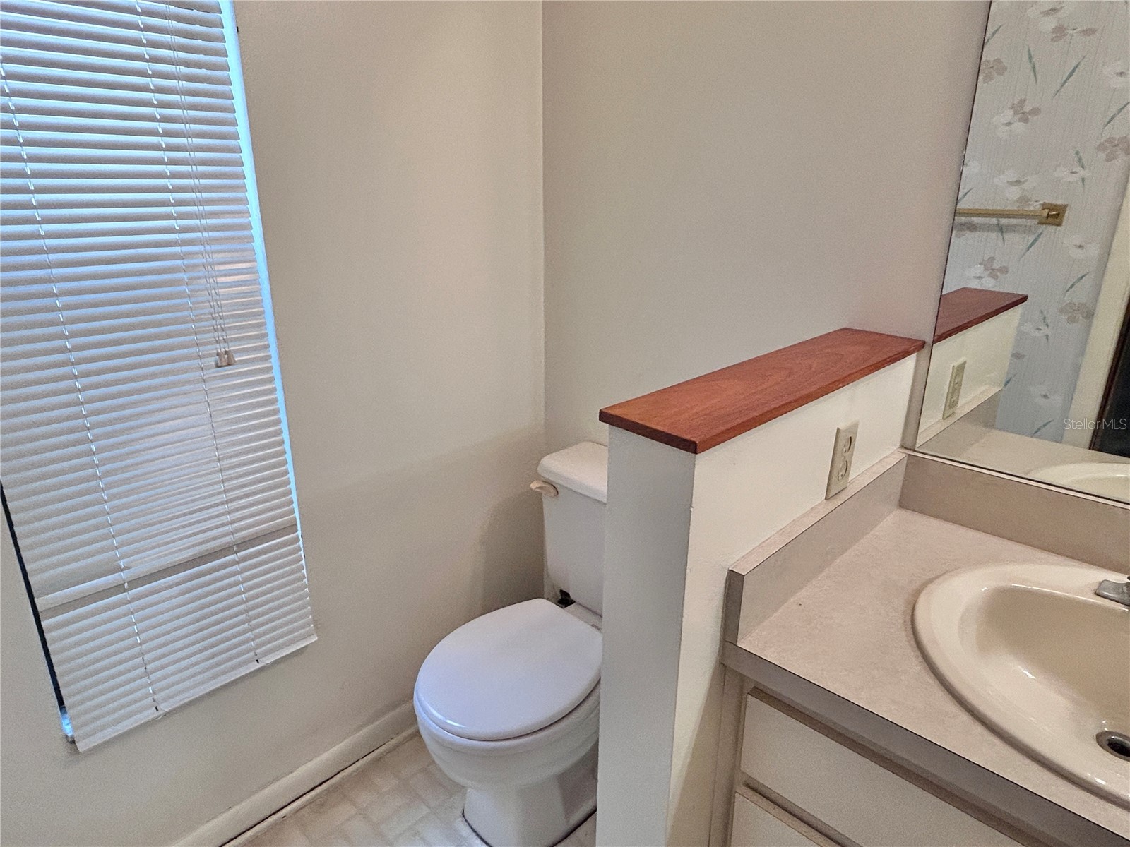 11233 Elmfield Drive Tampa FL 33625 TB8526143 image13