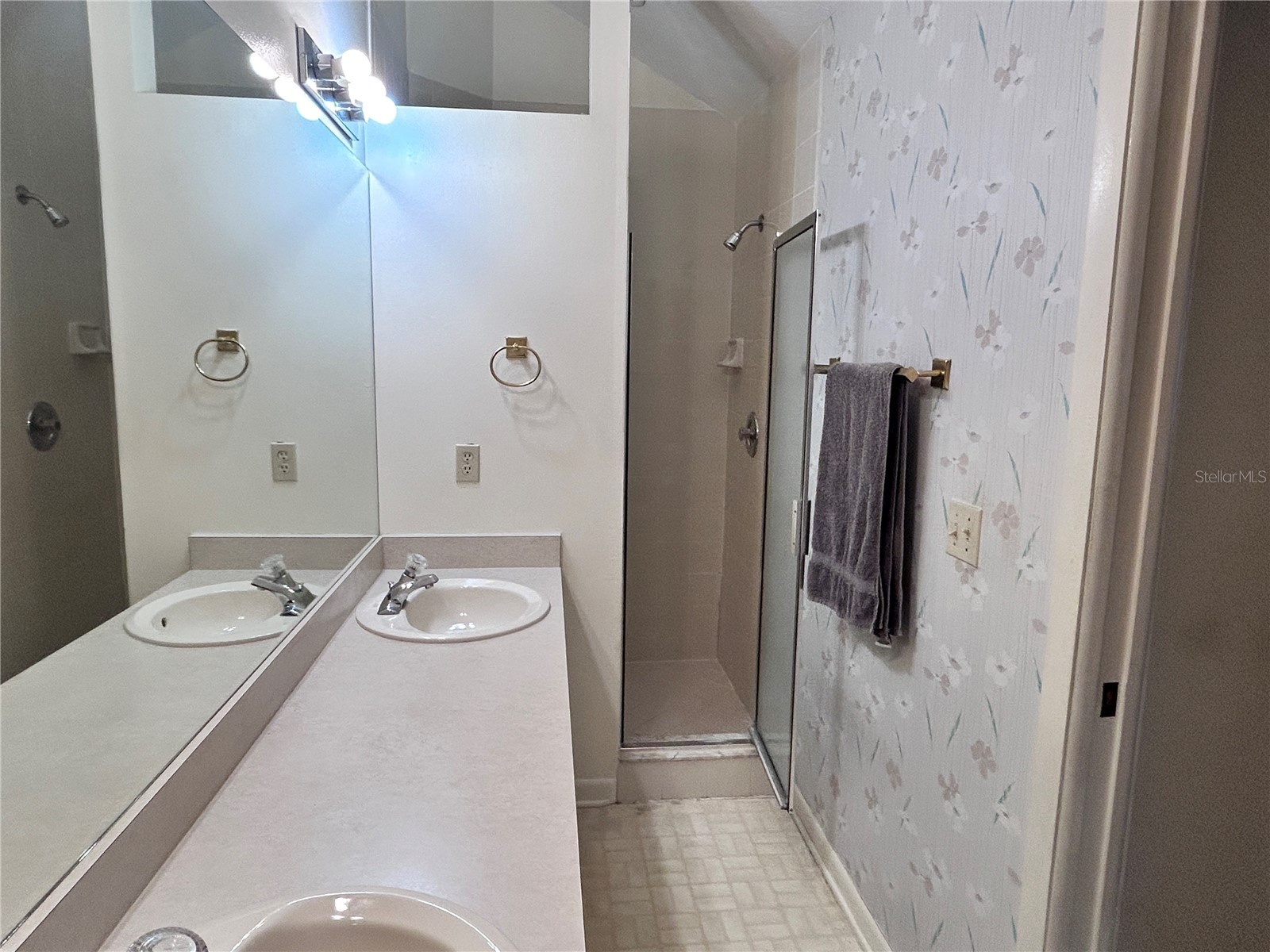 11233 Elmfield Drive Tampa FL 33625 TB8526143 image14