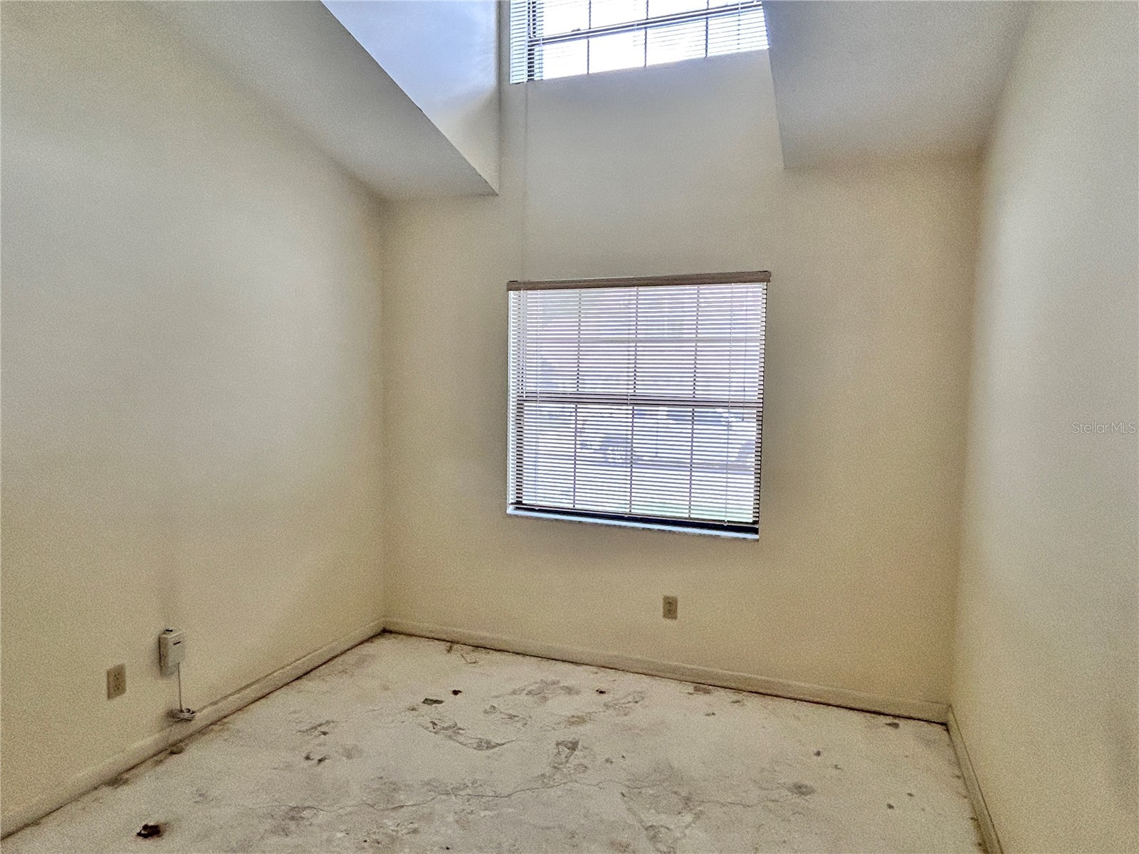 11233 Elmfield Drive Tampa FL 33625 TB8526143 image15