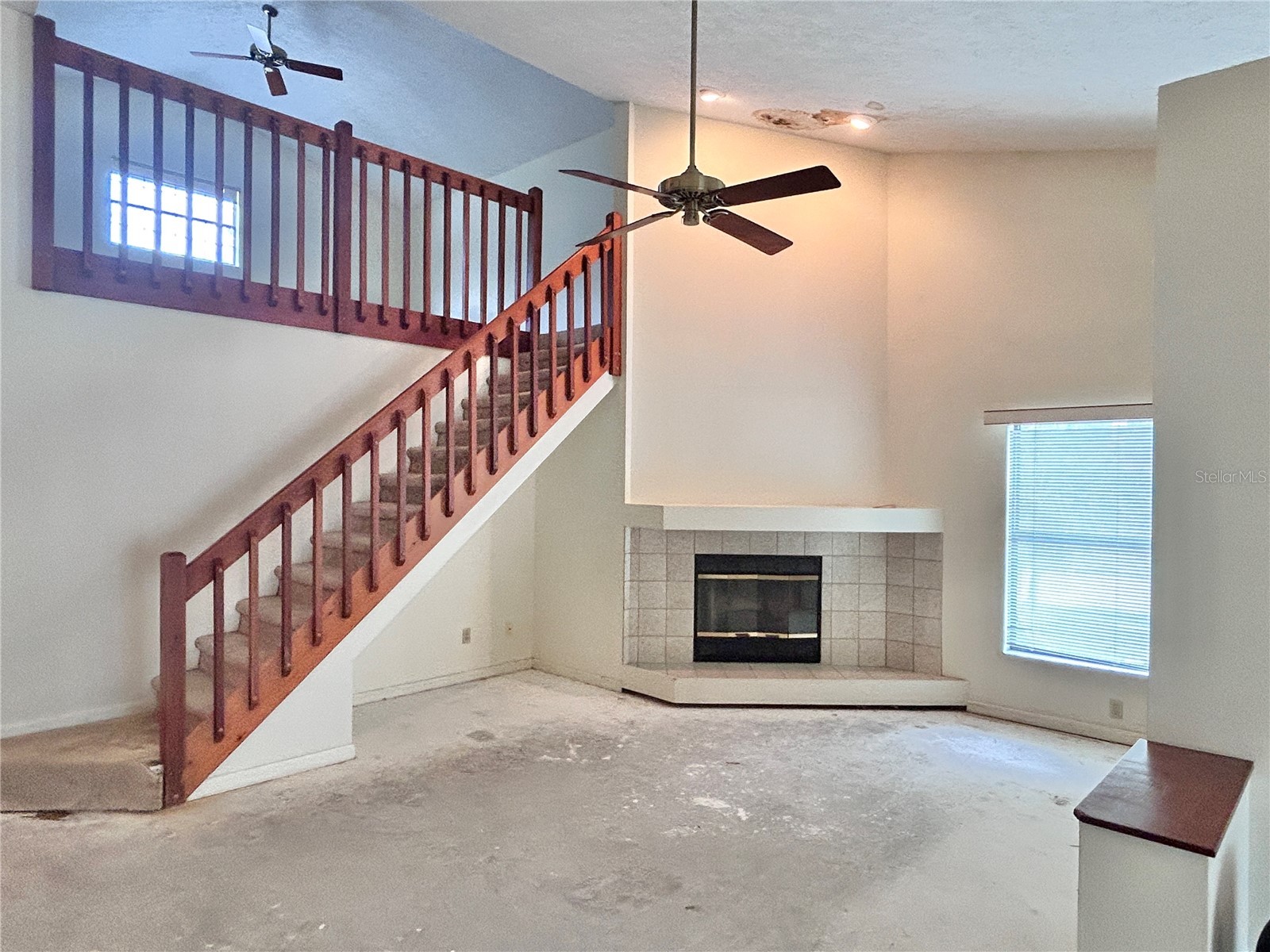 11233 Elmfield Drive Tampa FL 33625 TB8526143 image3