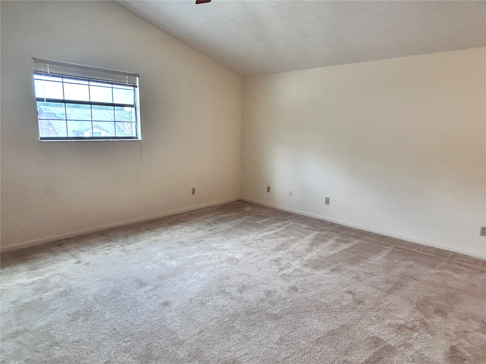 11233 Elmfield Drive Tampa FL 33625 TB8526143 image7