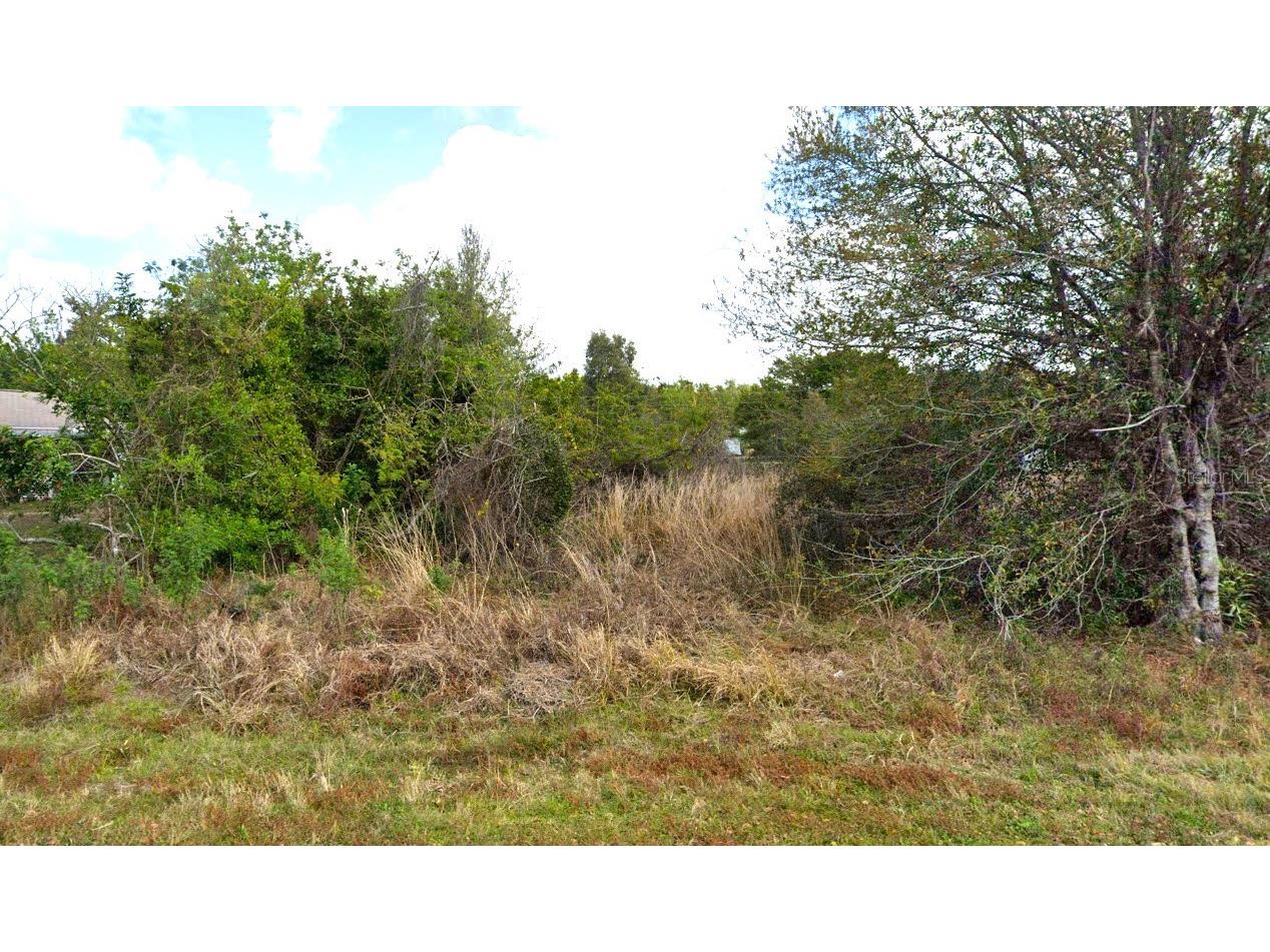 11234 4th Avenue Punta Gorda FL 33955 C7490787 image1