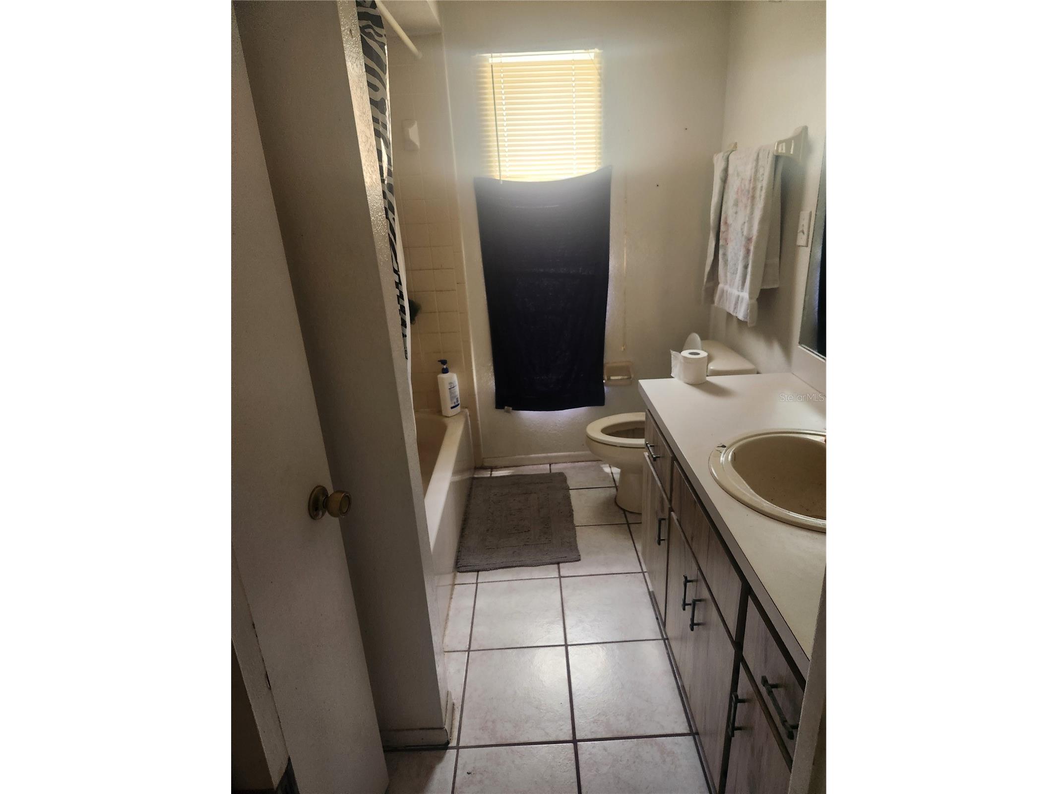 11234 Elgin Boulevard Spring Hill FL 34608 TB8519032 image10