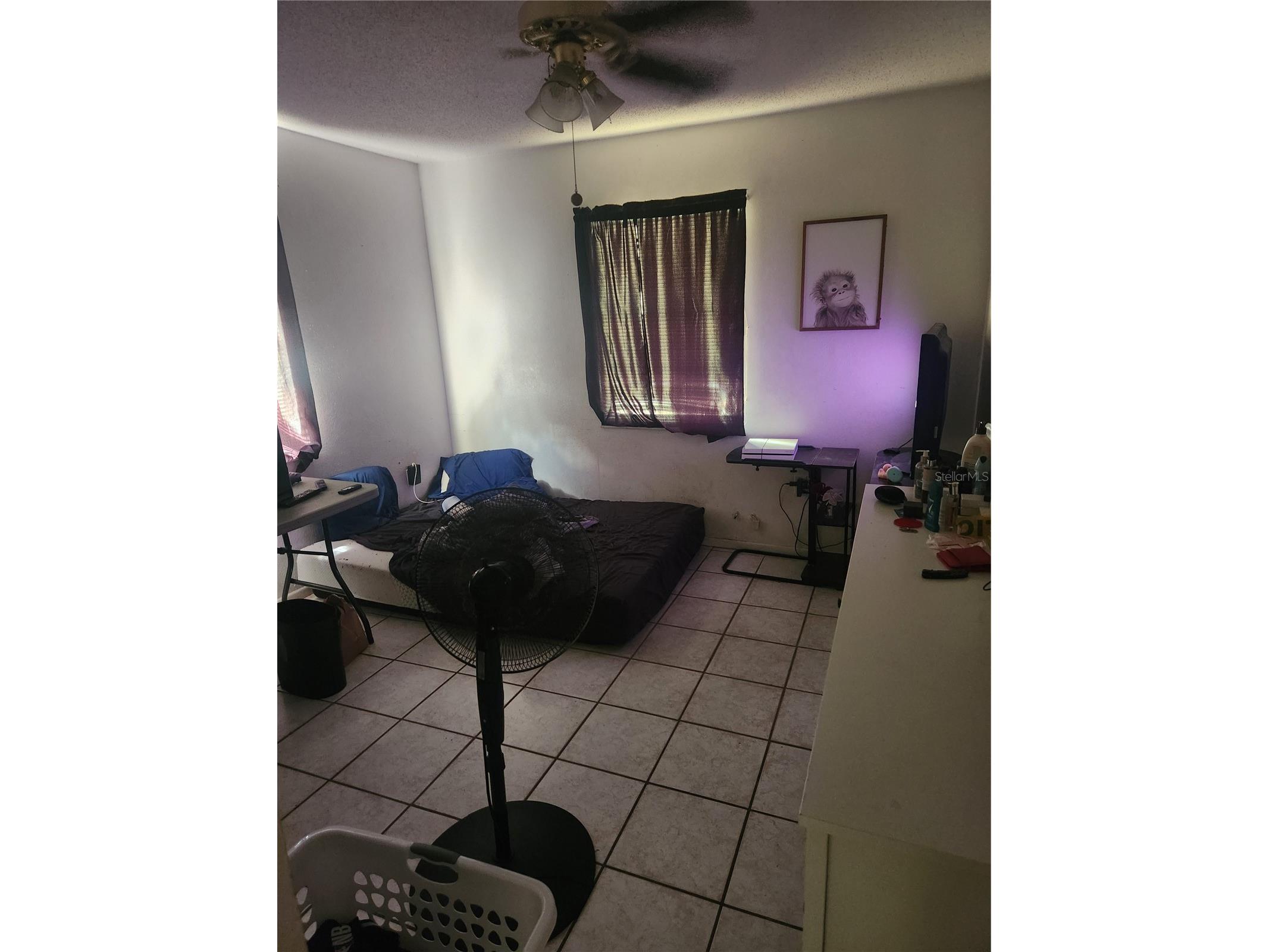 11234 Elgin Boulevard Spring Hill FL 34608 TB8519032 image9