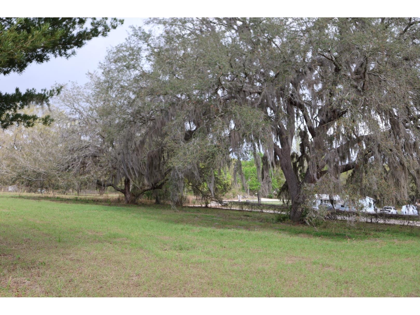 11234 SE 121st Lane Road Belleview FL 34420 OM720529 image13