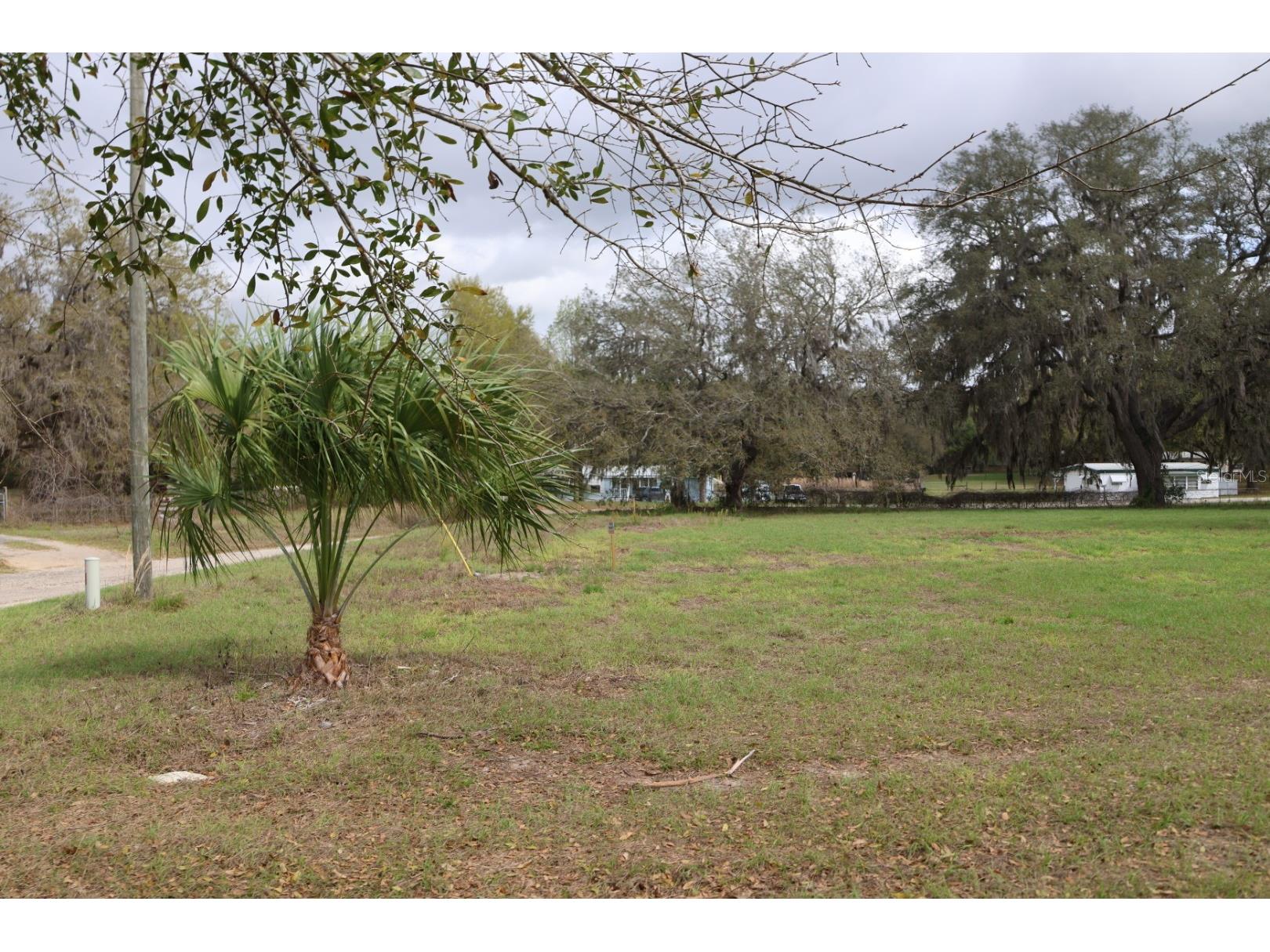 11234 SE 121st Lane Road Belleview FL 34420 OM720529 image17