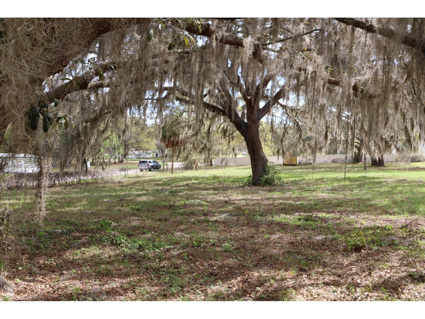 11234 SE 121st Lane Road Belleview FL 34420 OM720529 image18