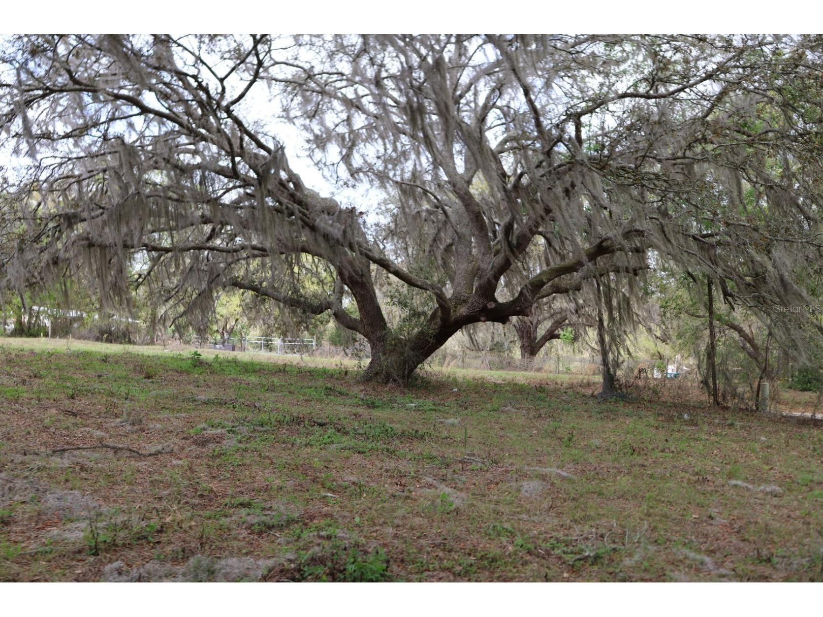 11234 SE 121st Lane Road Belleview FL 34420 OM720529 image19