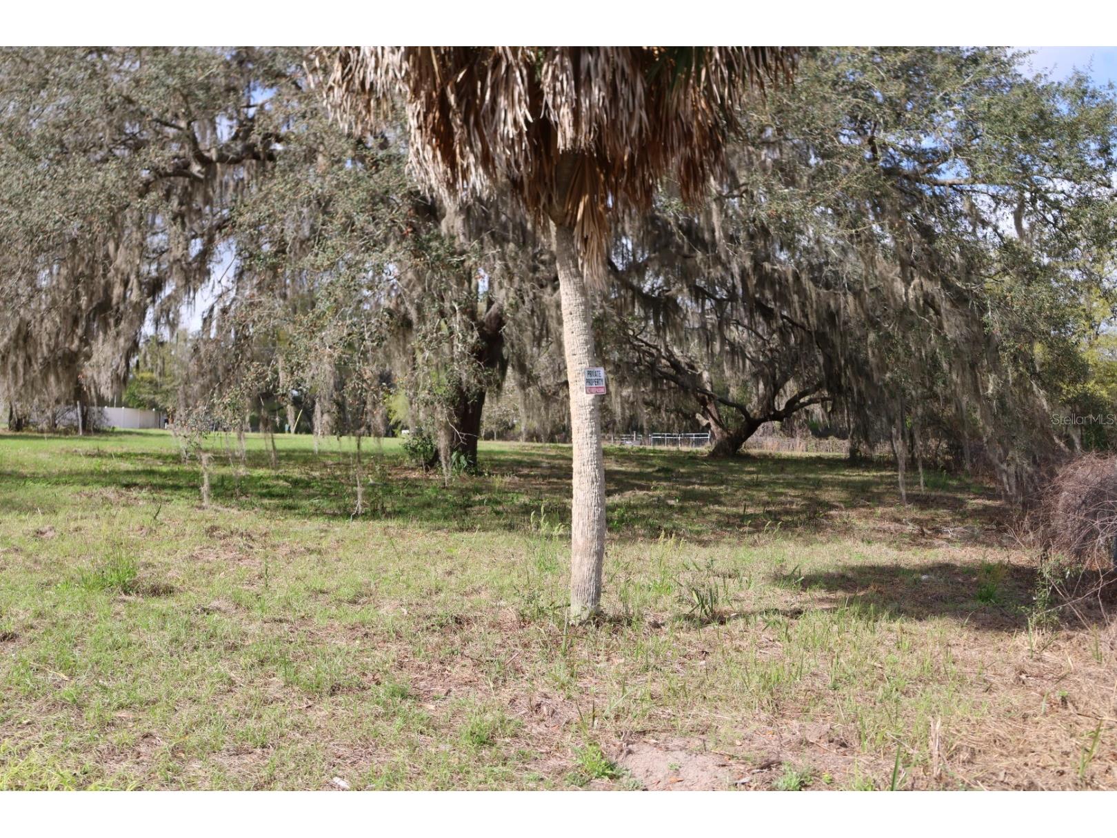 11234 SE 121st Lane Road Belleview FL 34420 OM720529 image3