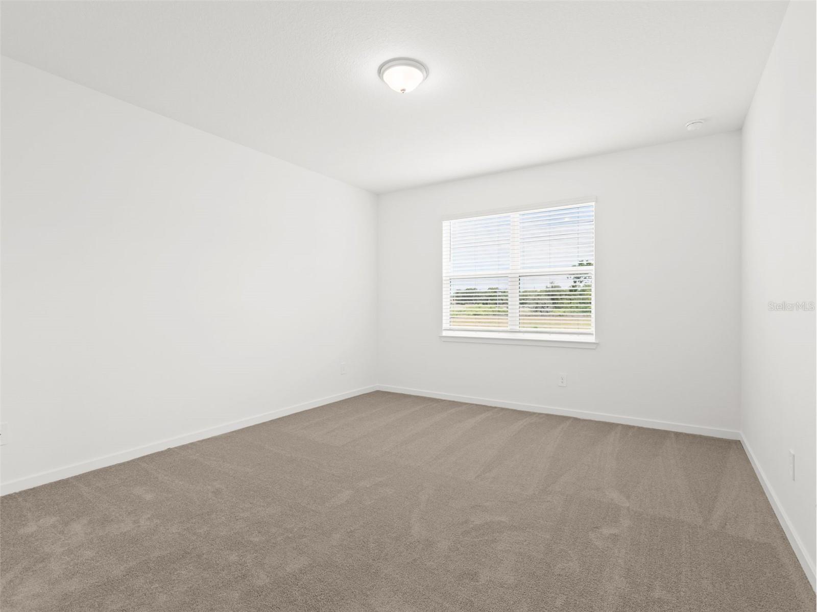 11234 Sycamore Glen Loop Thonotosassa FL 33592 TB8506609 image17