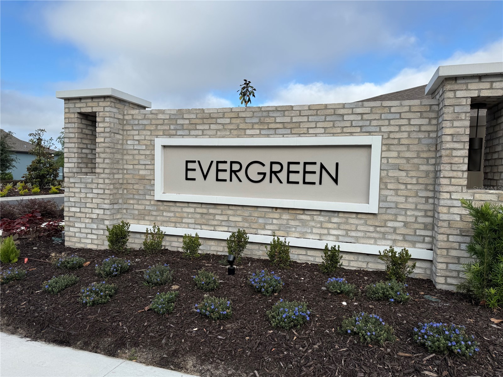 11234 Sycamore Glen Loop Thonotosassa FL 33592 TB8506609 image2