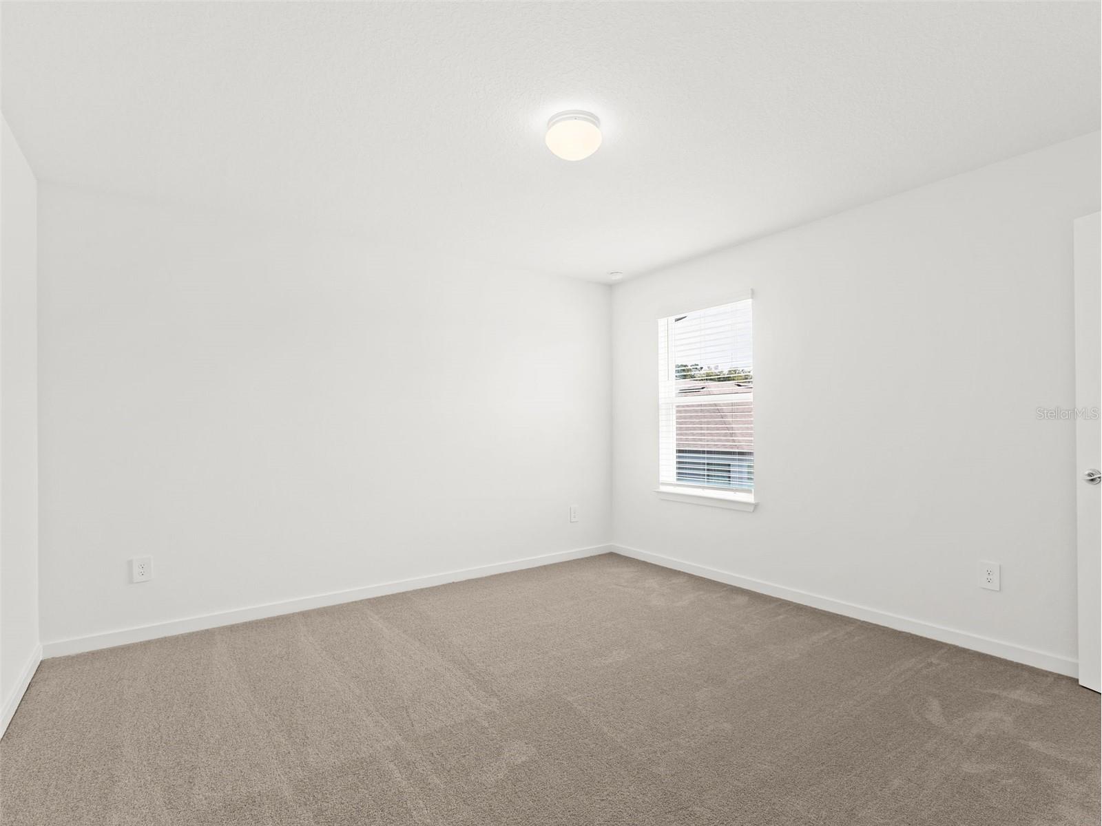 11234 Sycamore Glen Loop Thonotosassa FL 33592 TB8506609 image28