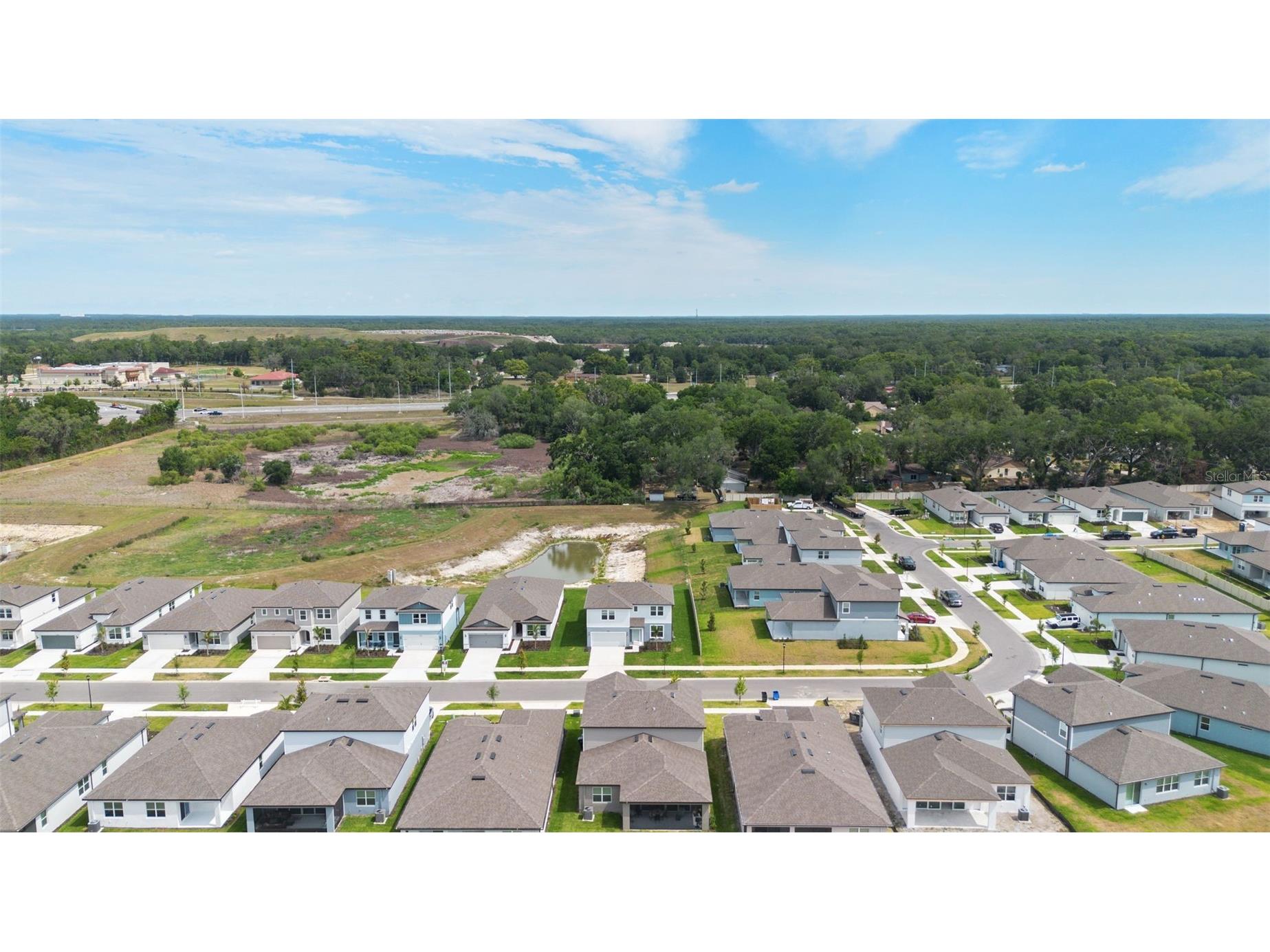 11234 Sycamore Glen Loop Thonotosassa FL 33592 TB8506609 image46