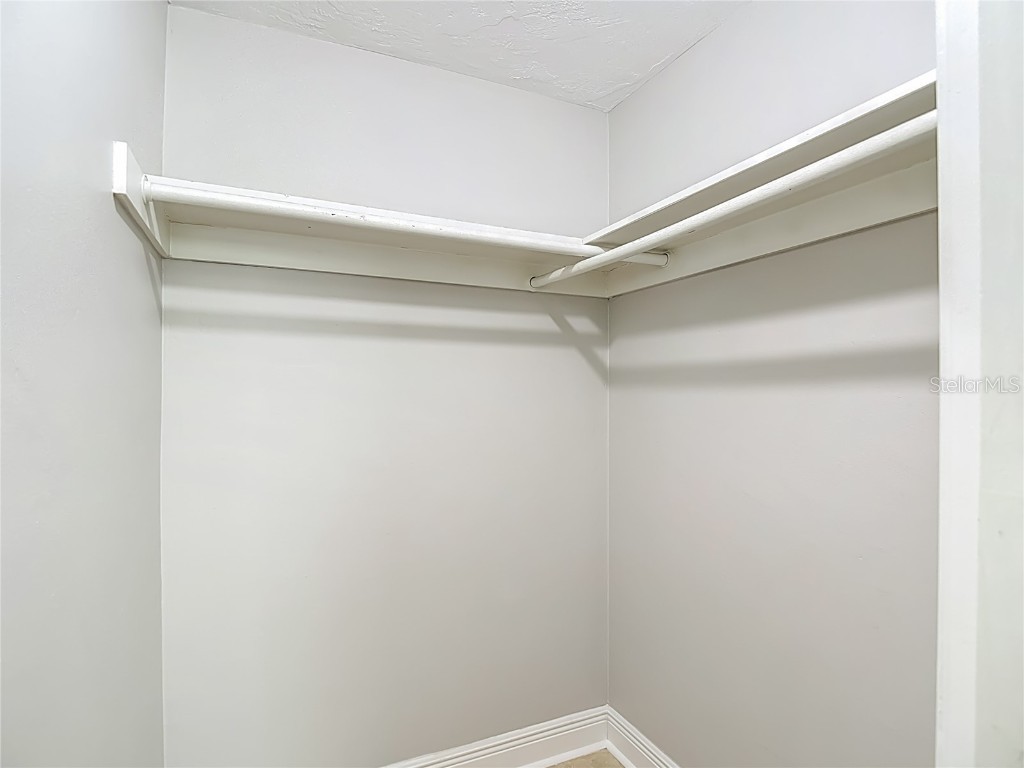 11234 Yewtree Avenue Port Richey FL 34668 C7516950 image28