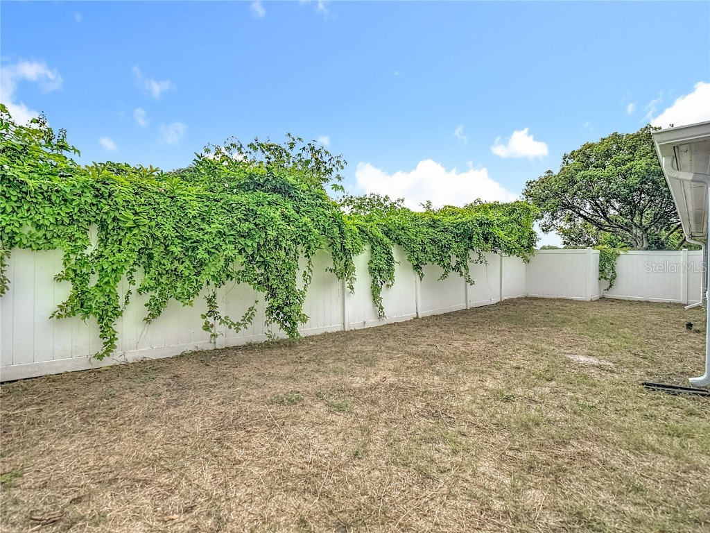 11234 Yewtree Avenue Port Richey FL 34668 C7516950 image38